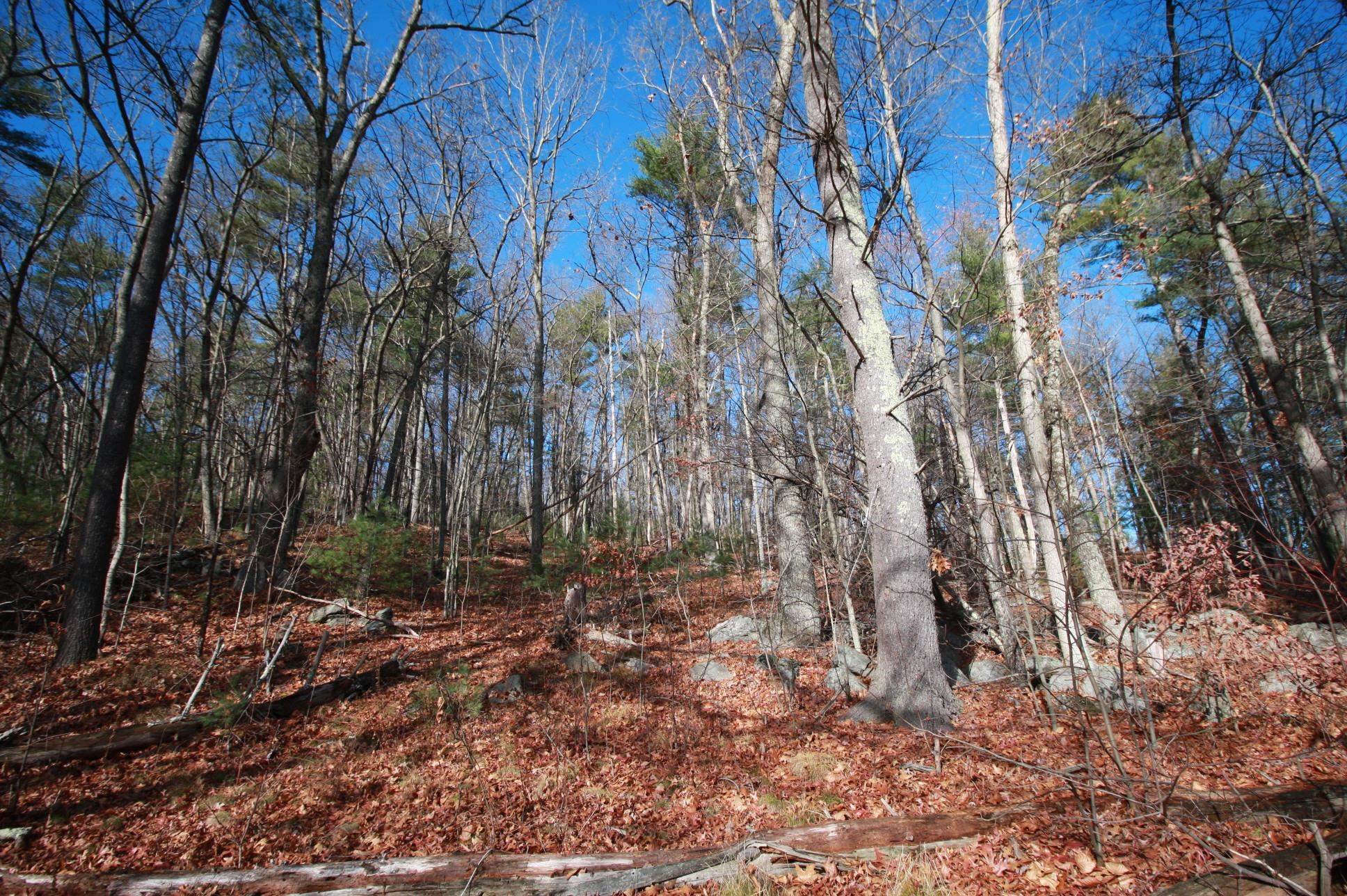 Photo of 00 Mammoth Road Pelham NH 03076