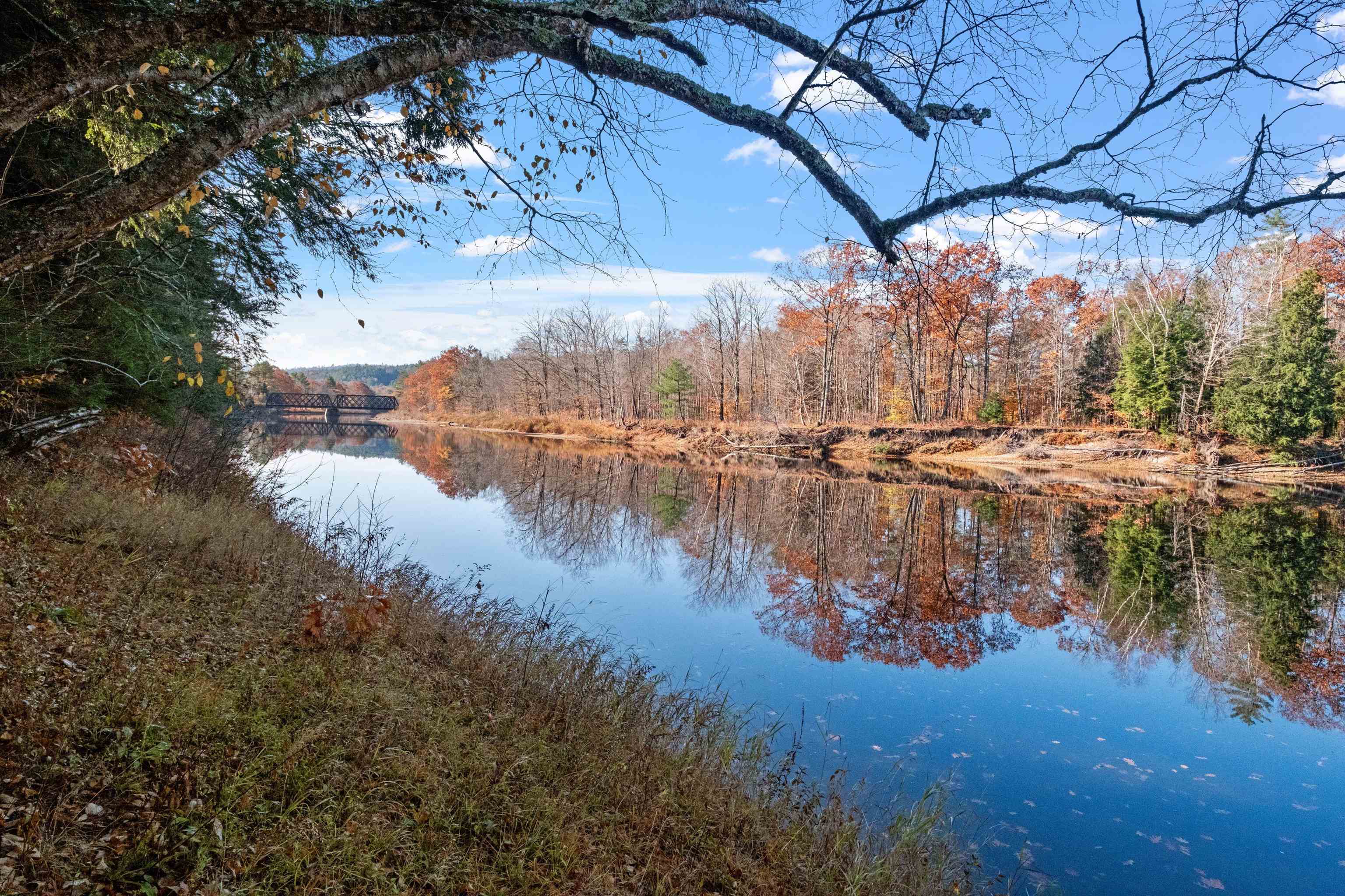 MLS #5023074 image #6