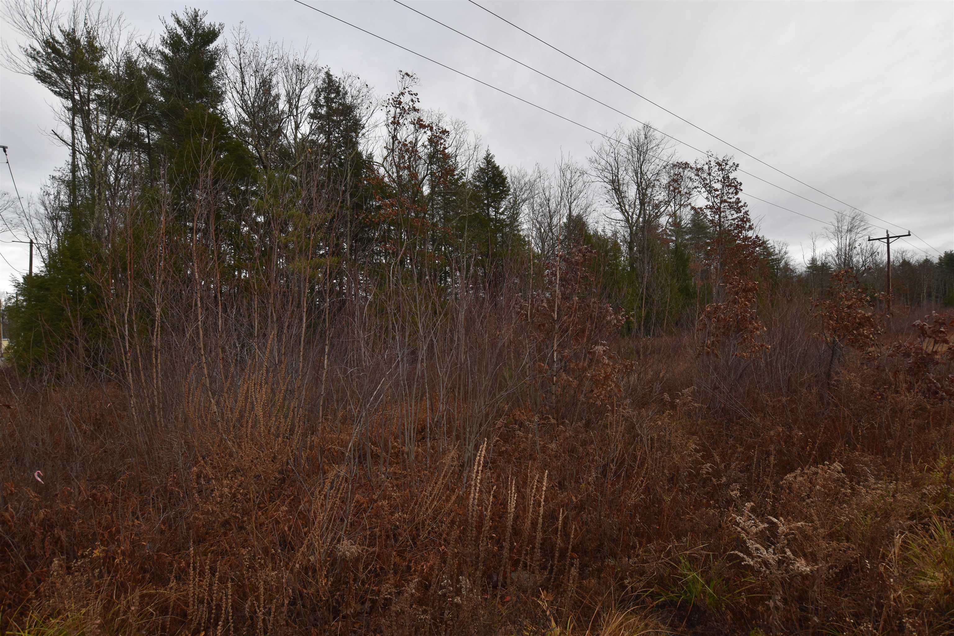 Photo of 58 Shaw Drive Rochester NH 03868