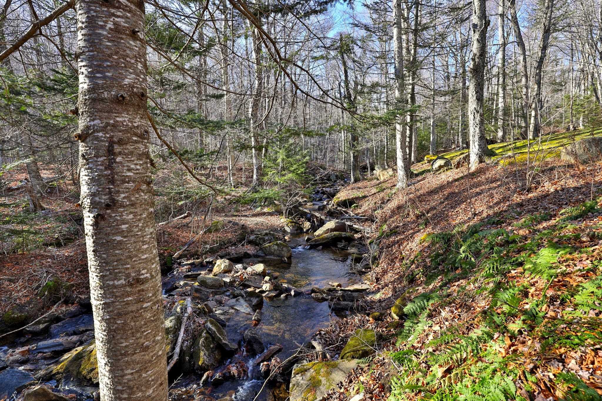 Year Round Mountain Brook