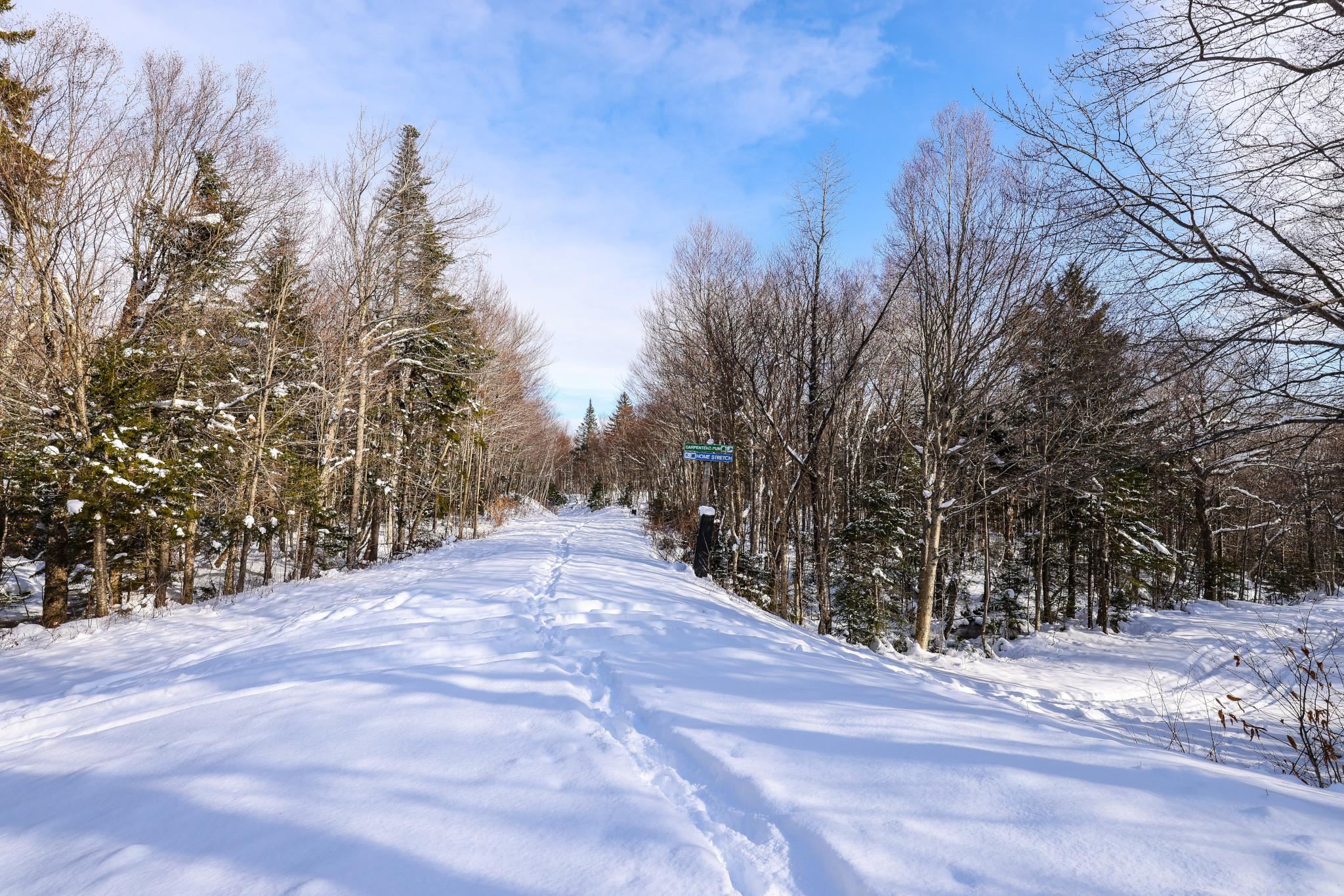 Homestretch Ski Trail at Carpenters Run