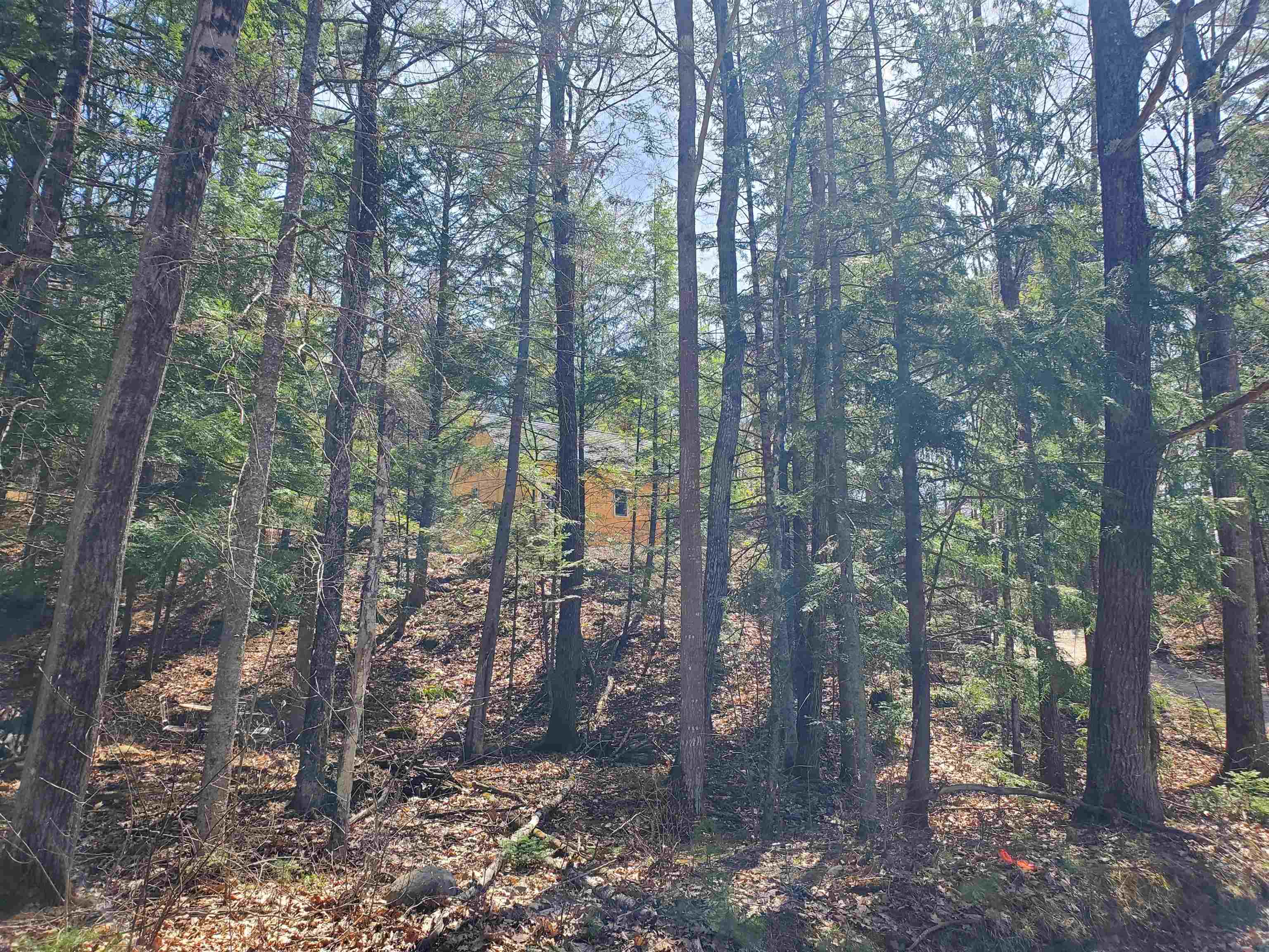 MLS #5024585 image #10