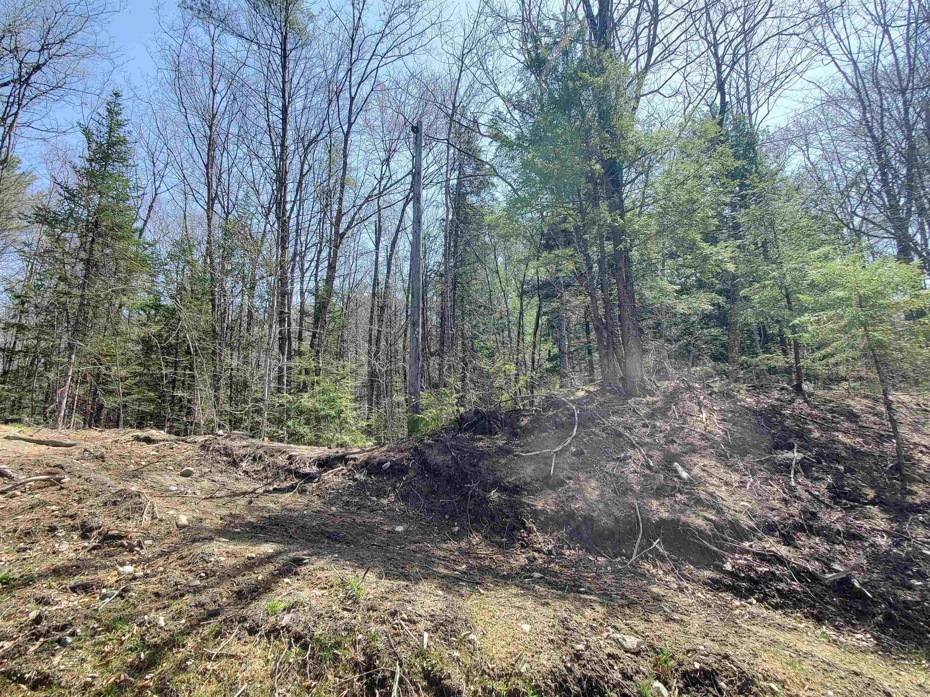 MLS #5024585 image #12