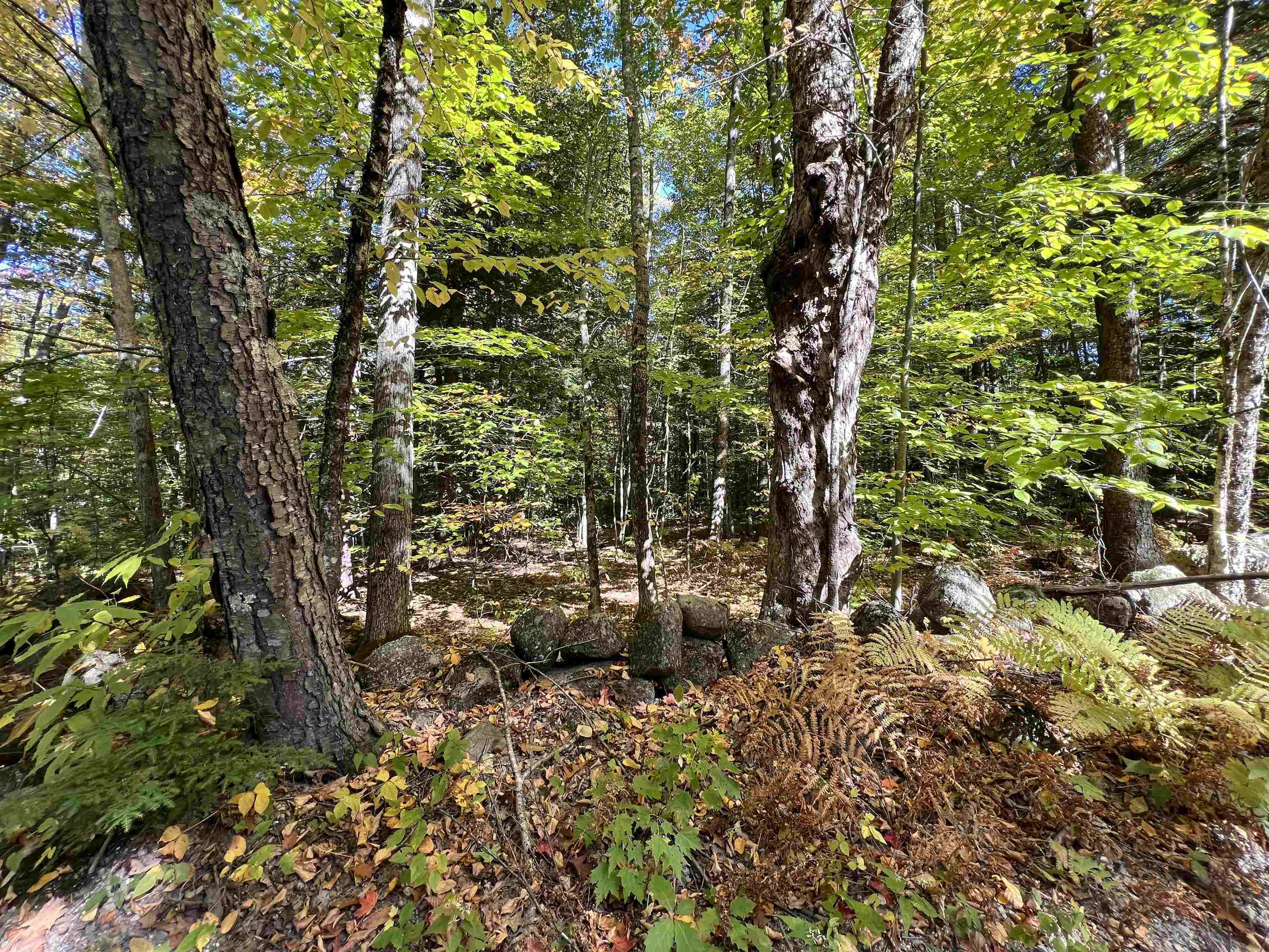 Photo of Peasley Road Henniker NH 03242