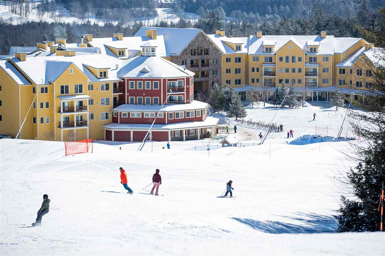 Ski home to Jackson Gore! 22544566