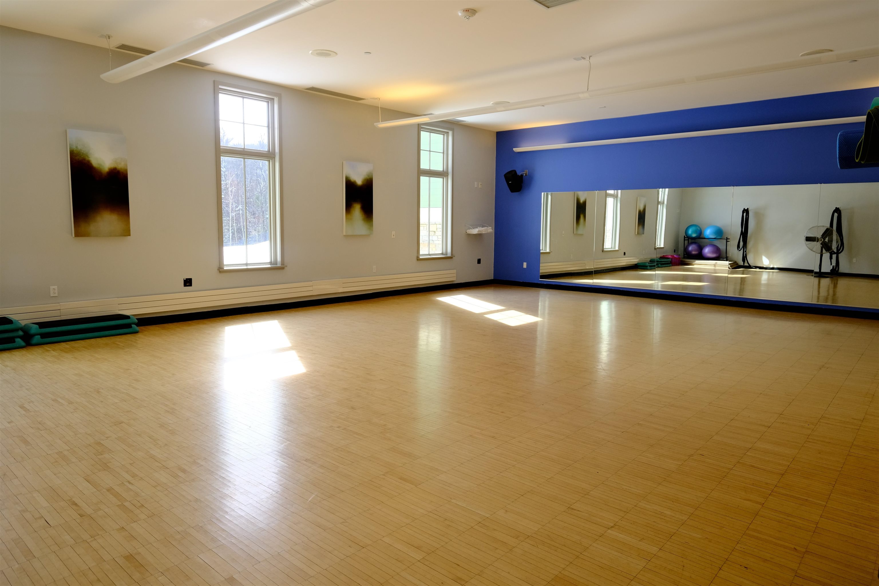 Yoga studio 22544698
