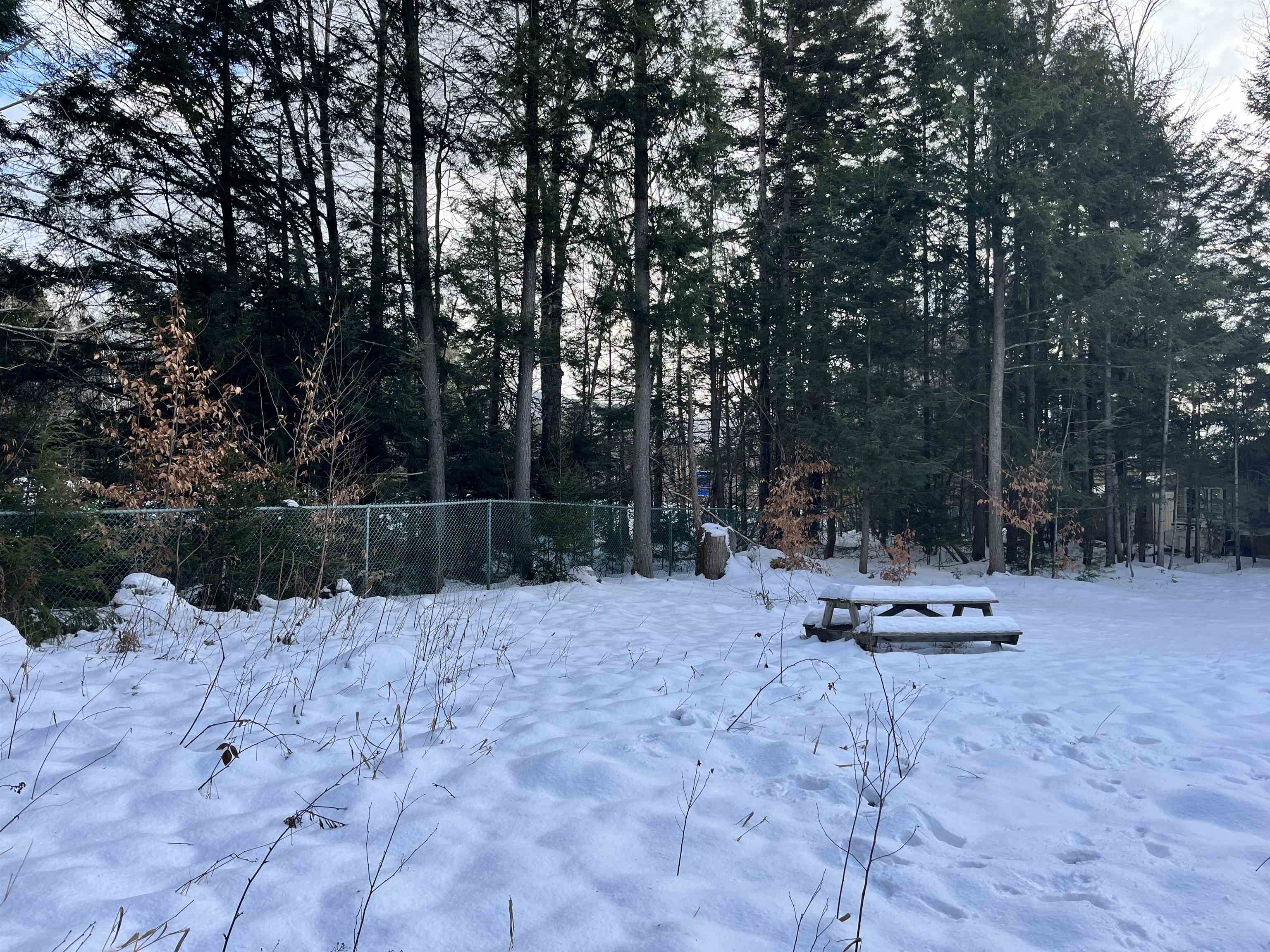 MLS #5025396 image #6