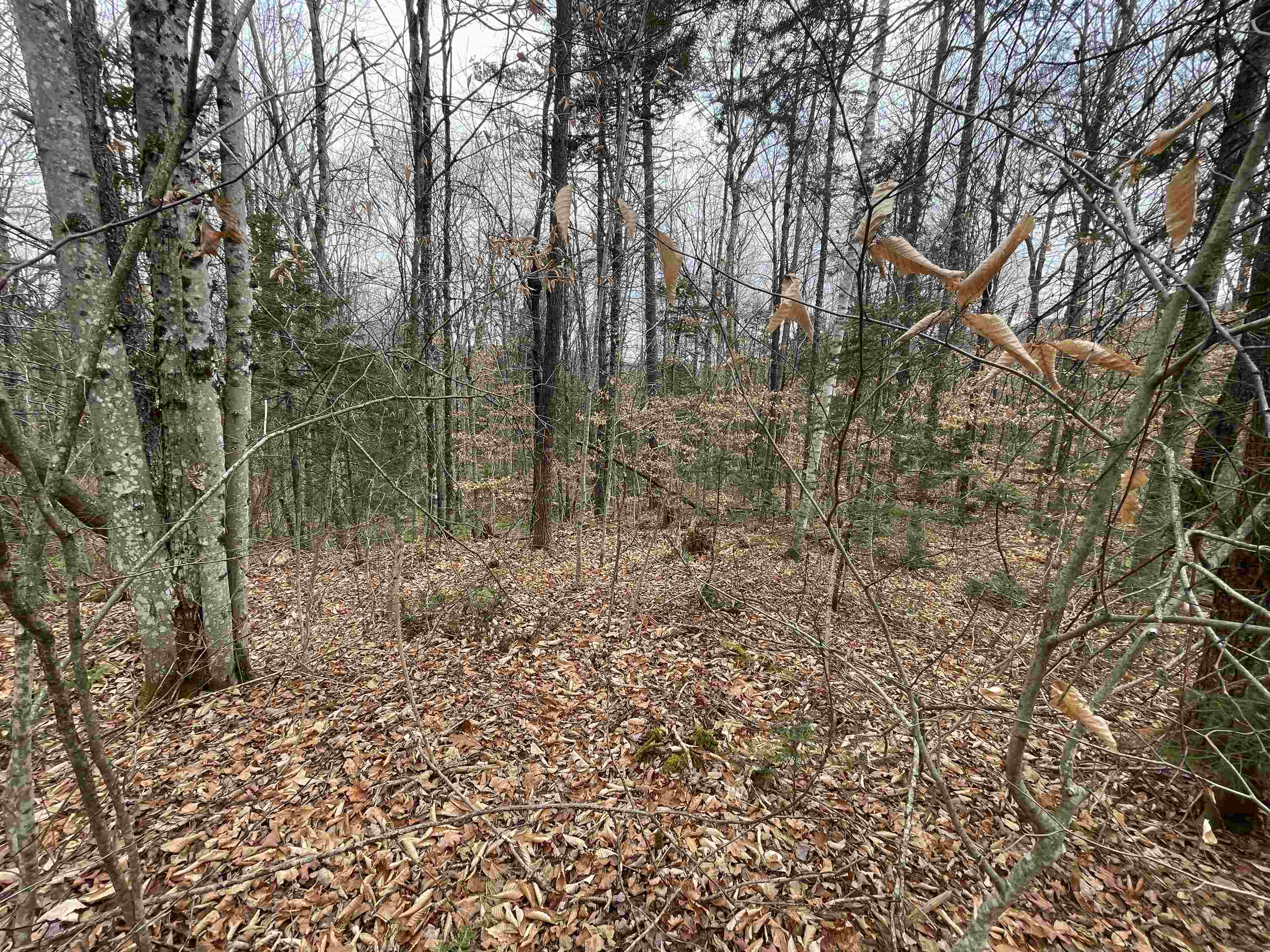 DORCHESTER NH Land / Acres for sale