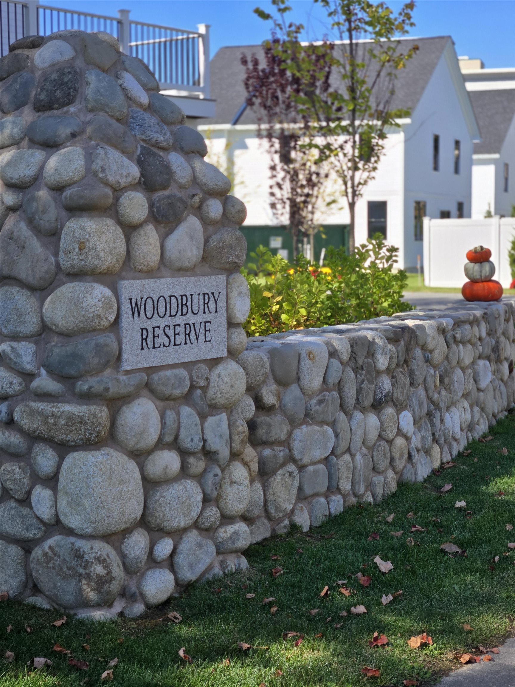 MLS #5026035 image #46