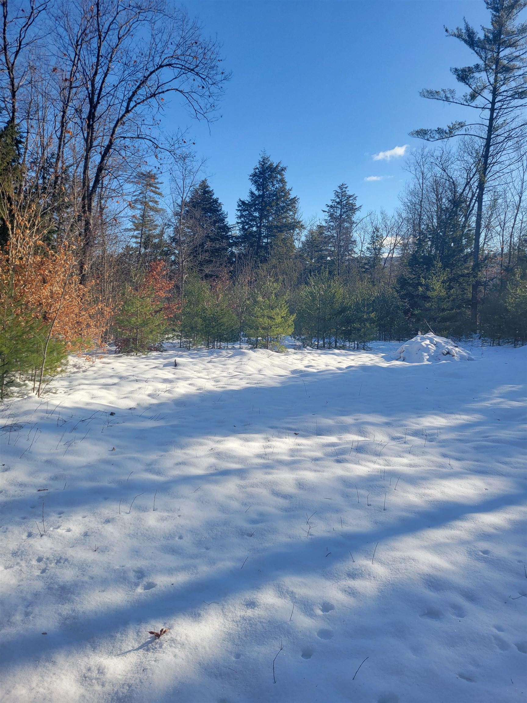 MLS #5026267 image #1