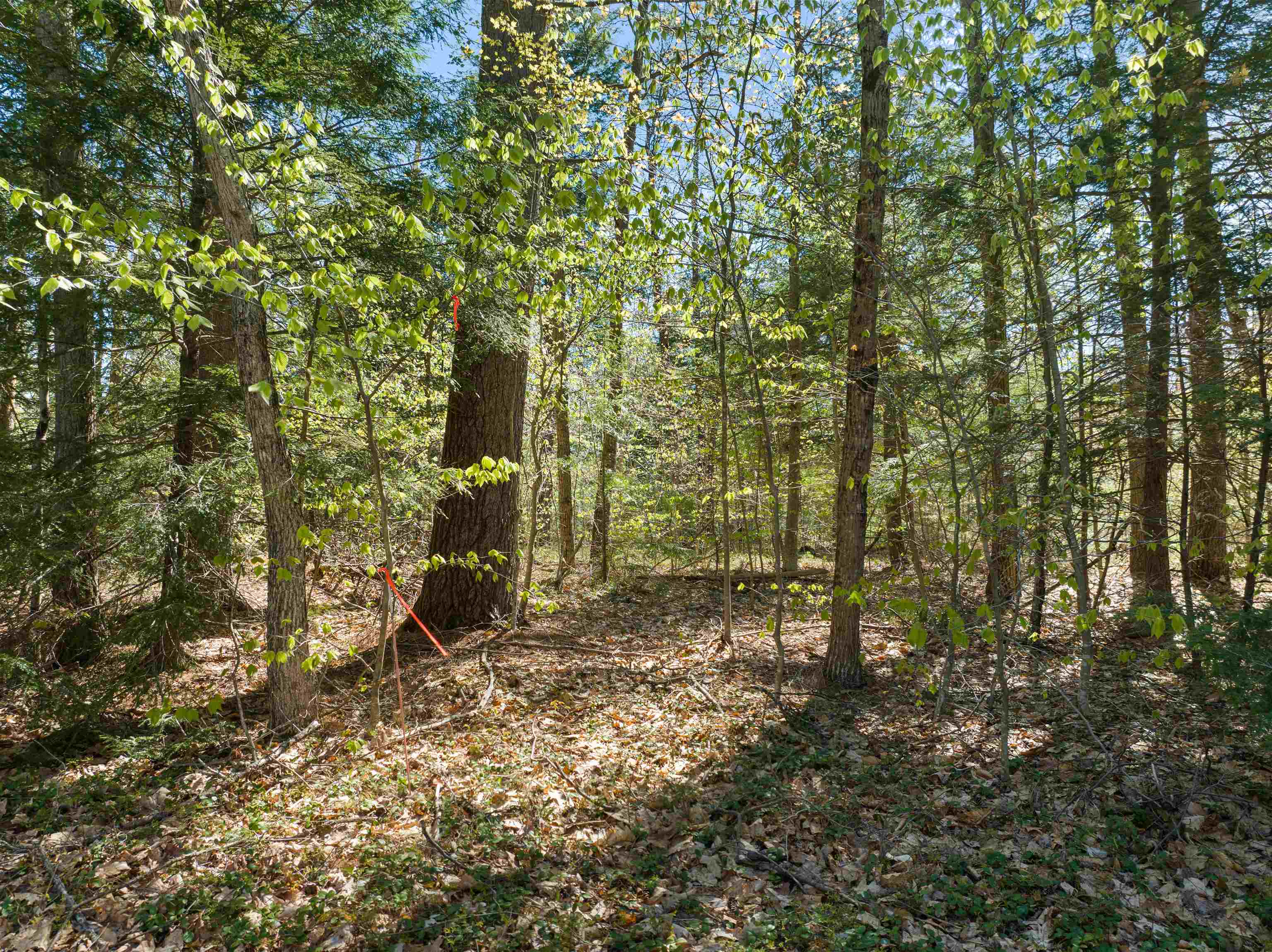 MLS #5026267 image #13