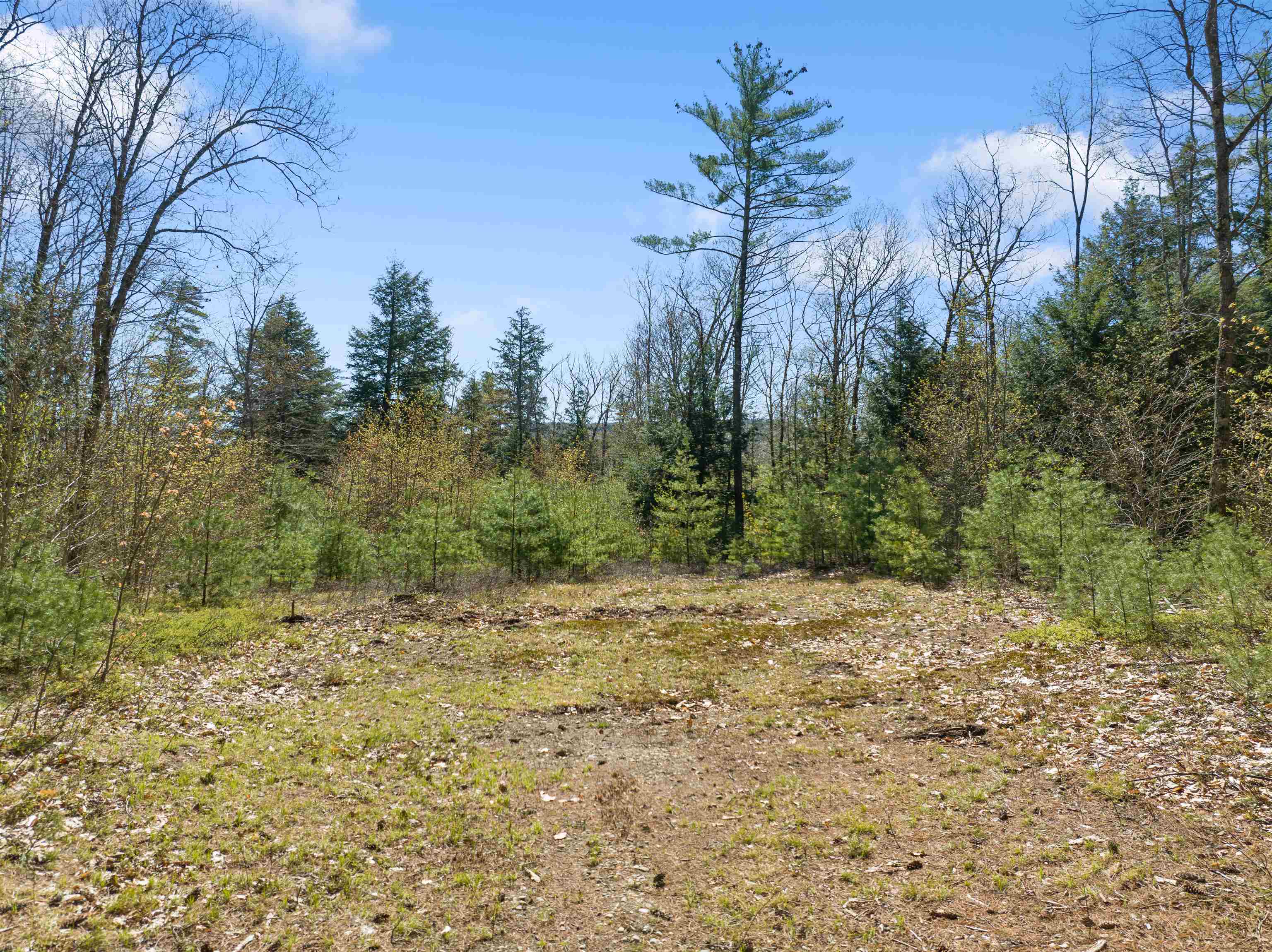 MLS #5026267 image #15