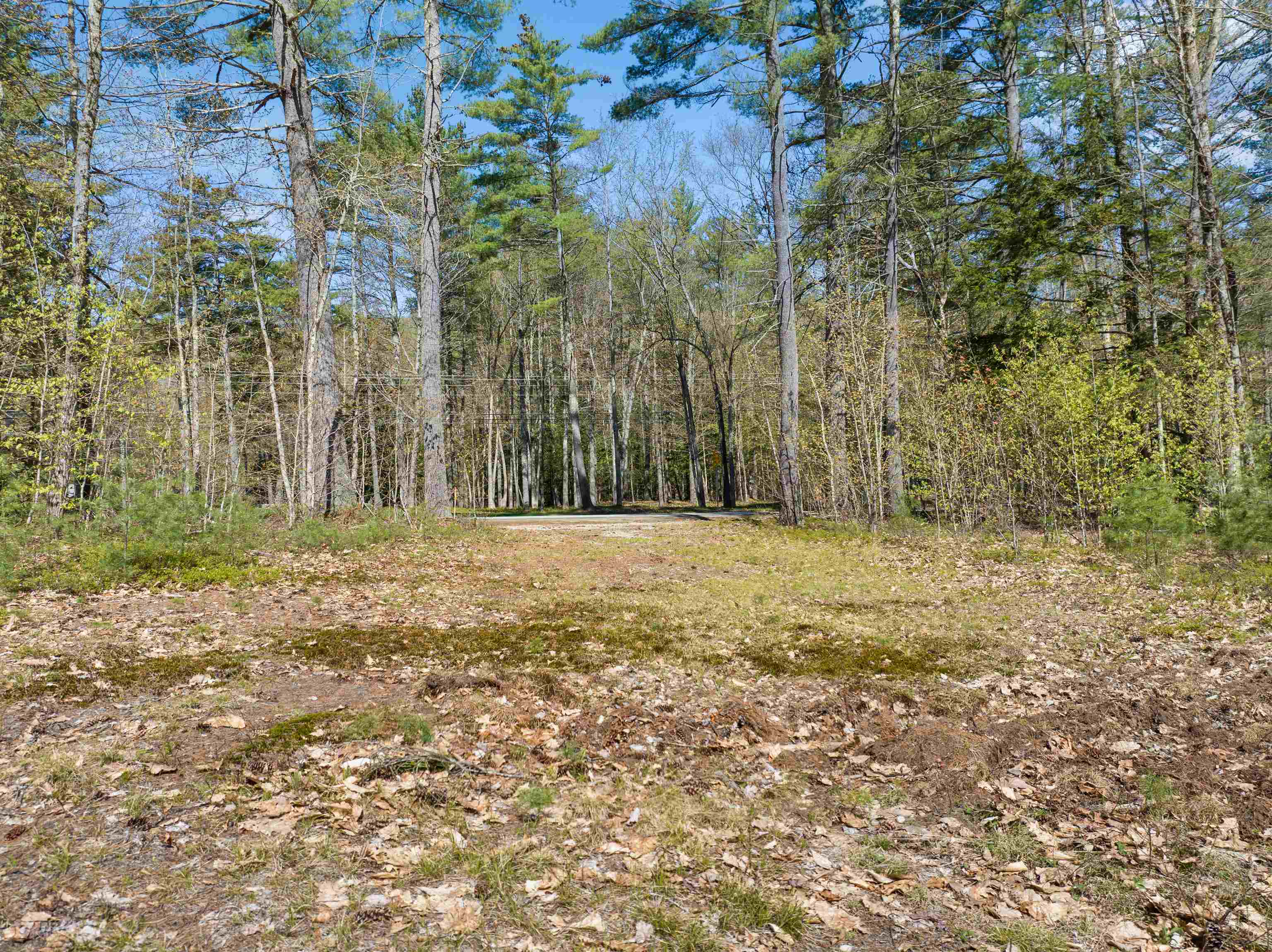 MLS #5026267 image #16