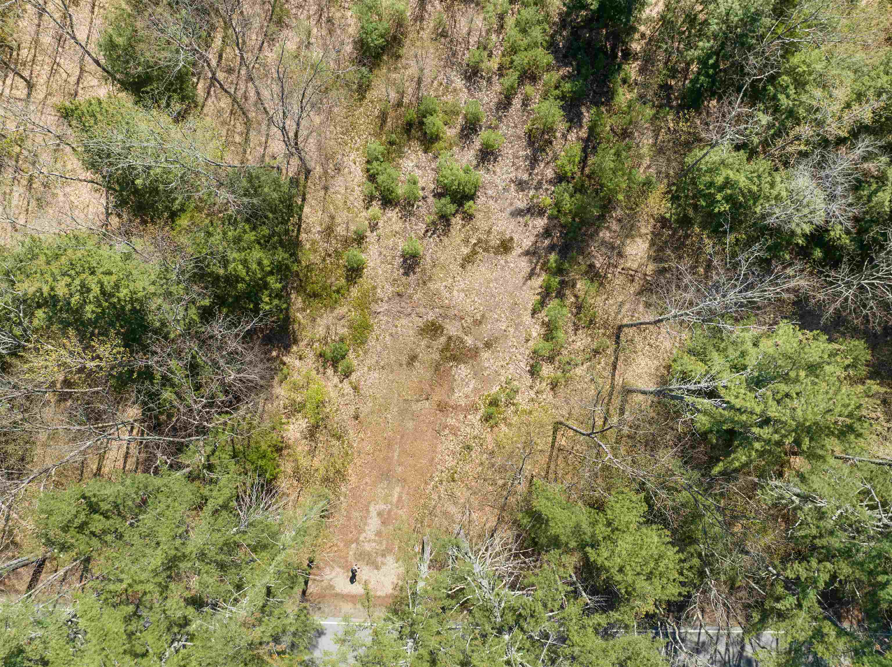 MLS #5026267 image #17