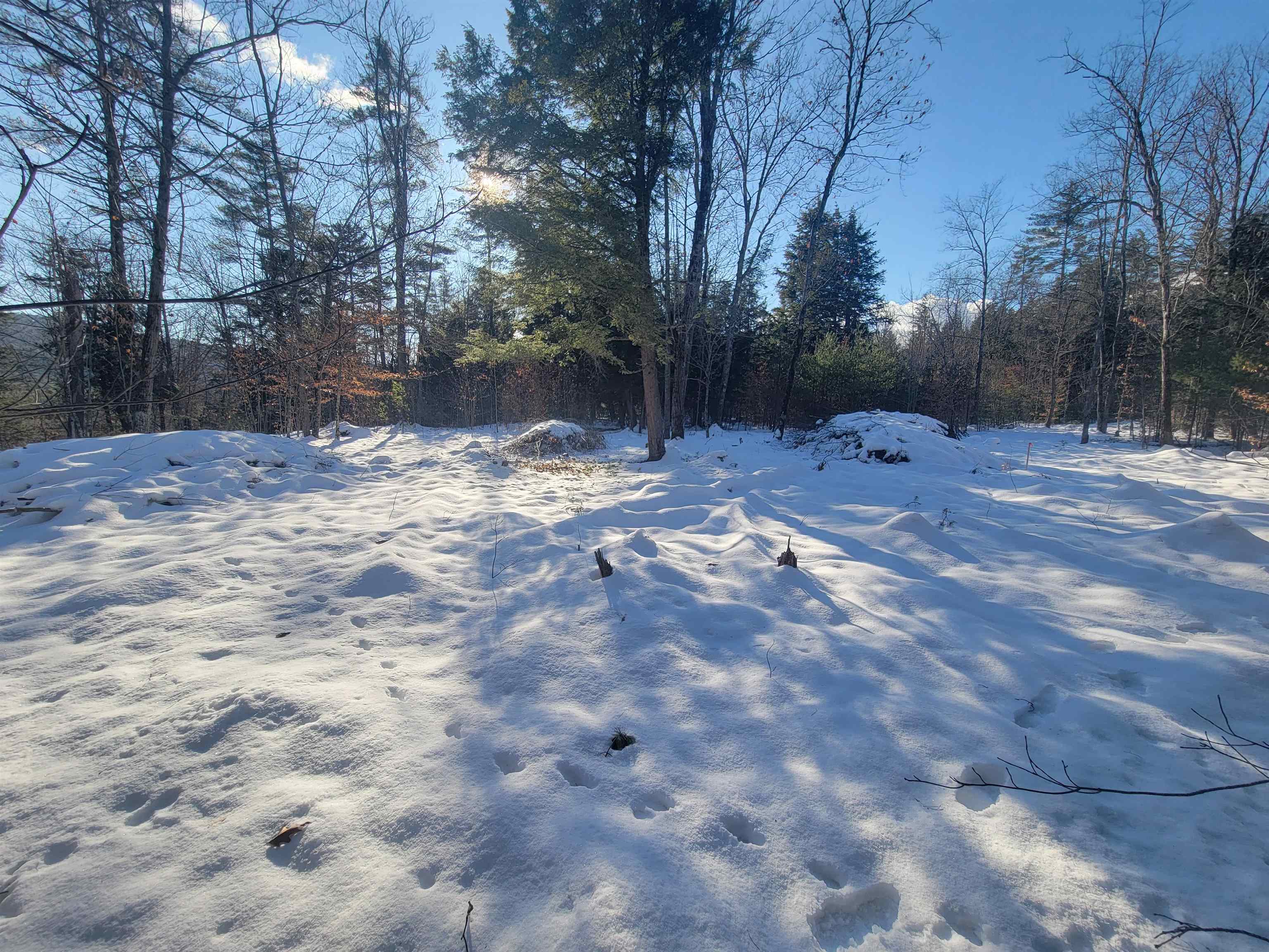 MLS #5026267 image #2