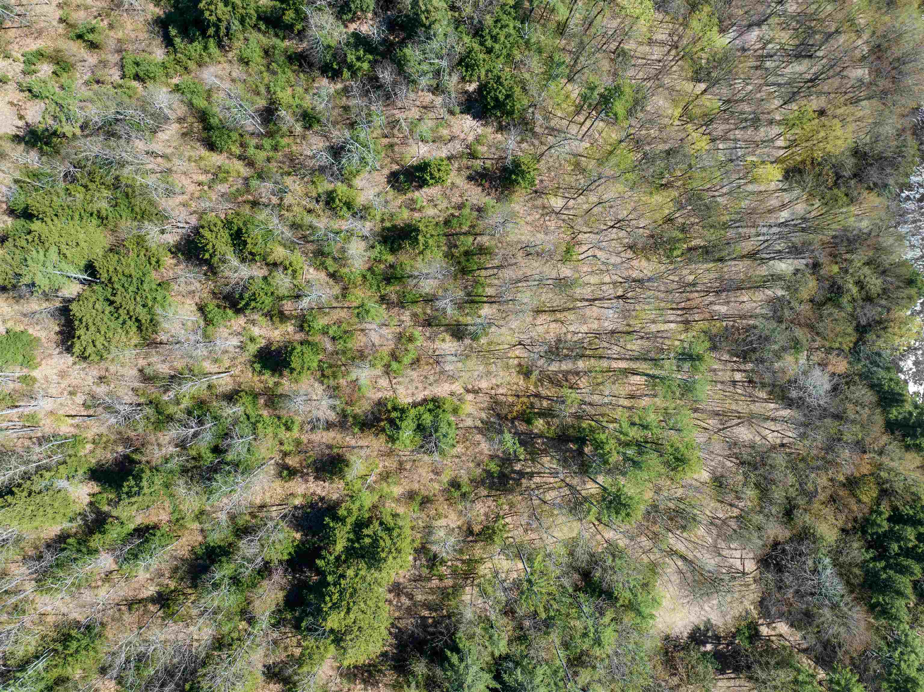 MLS #5026267 image #25