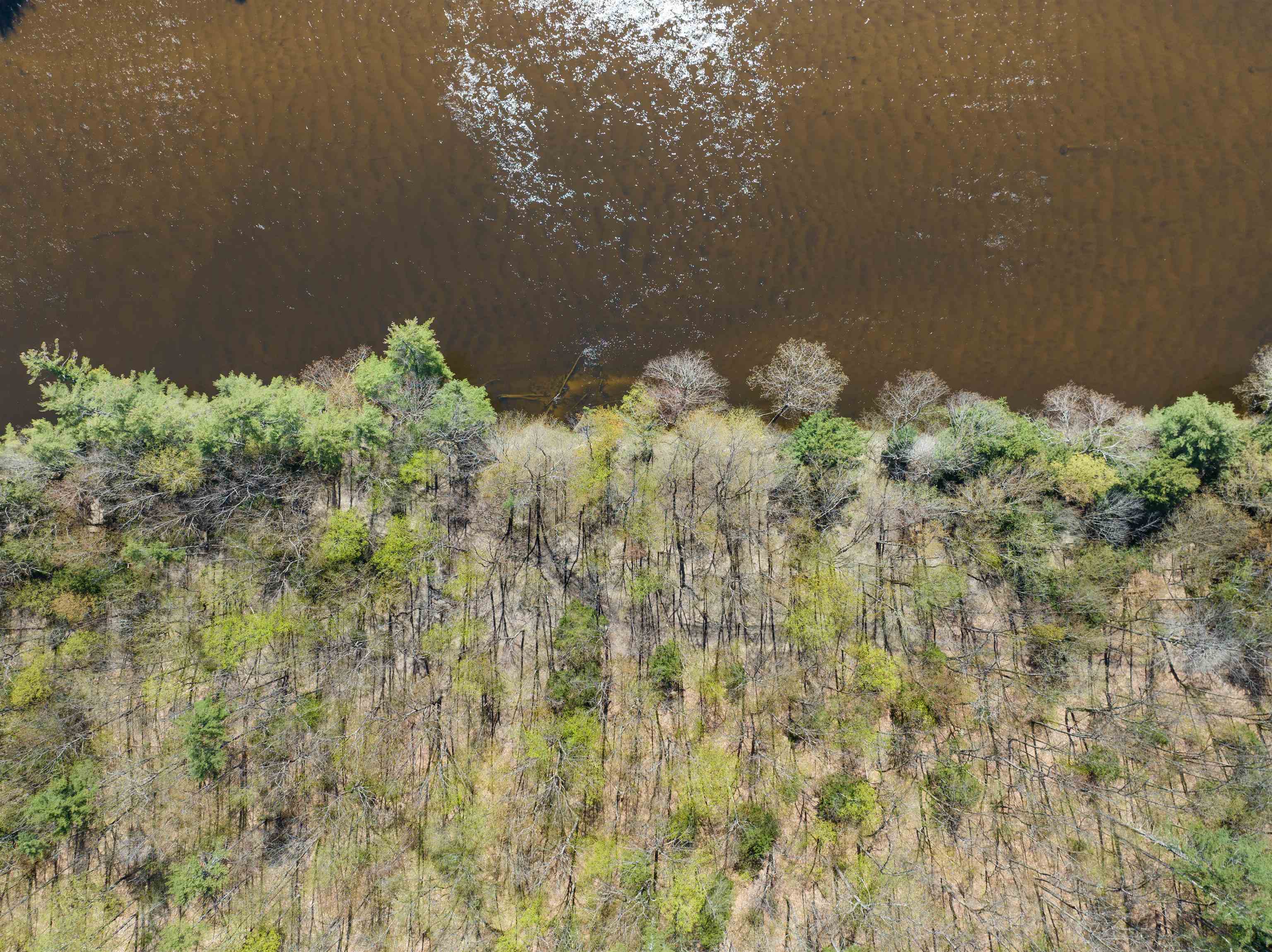 MLS #5026267 image #27