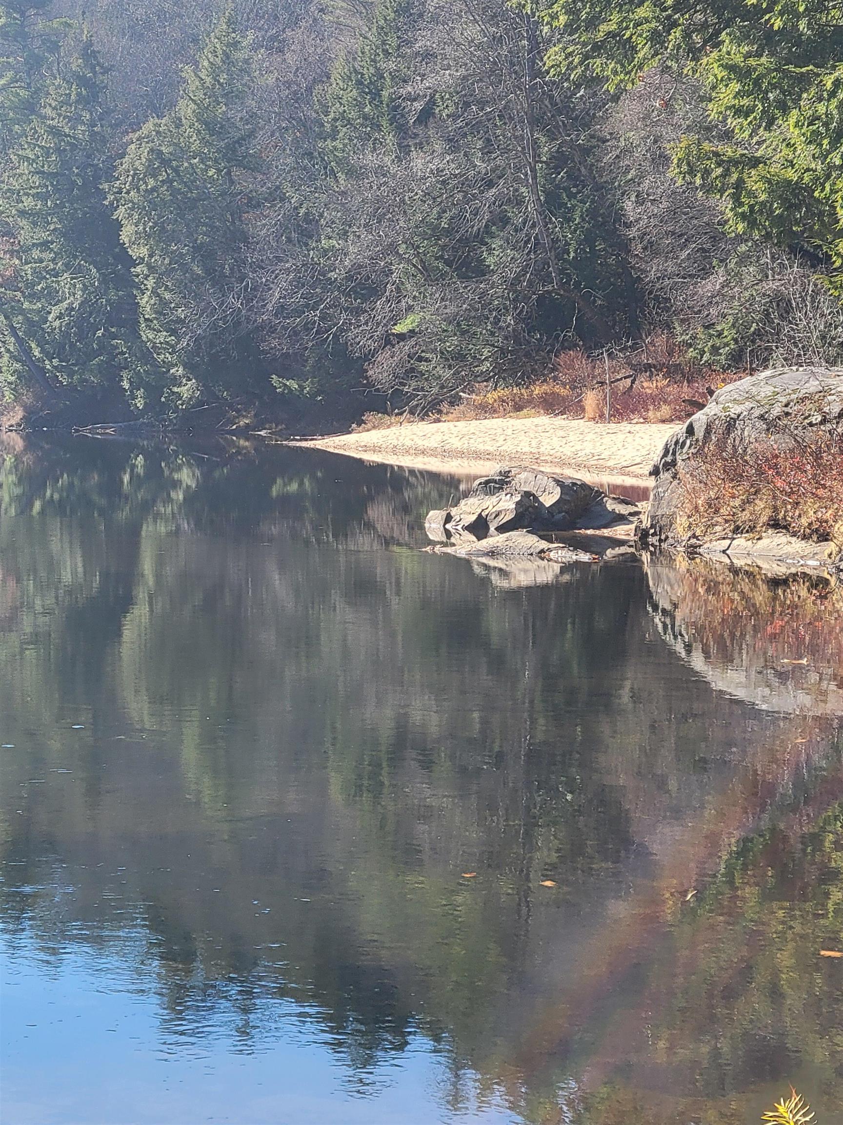 MLS #5026267 image #3