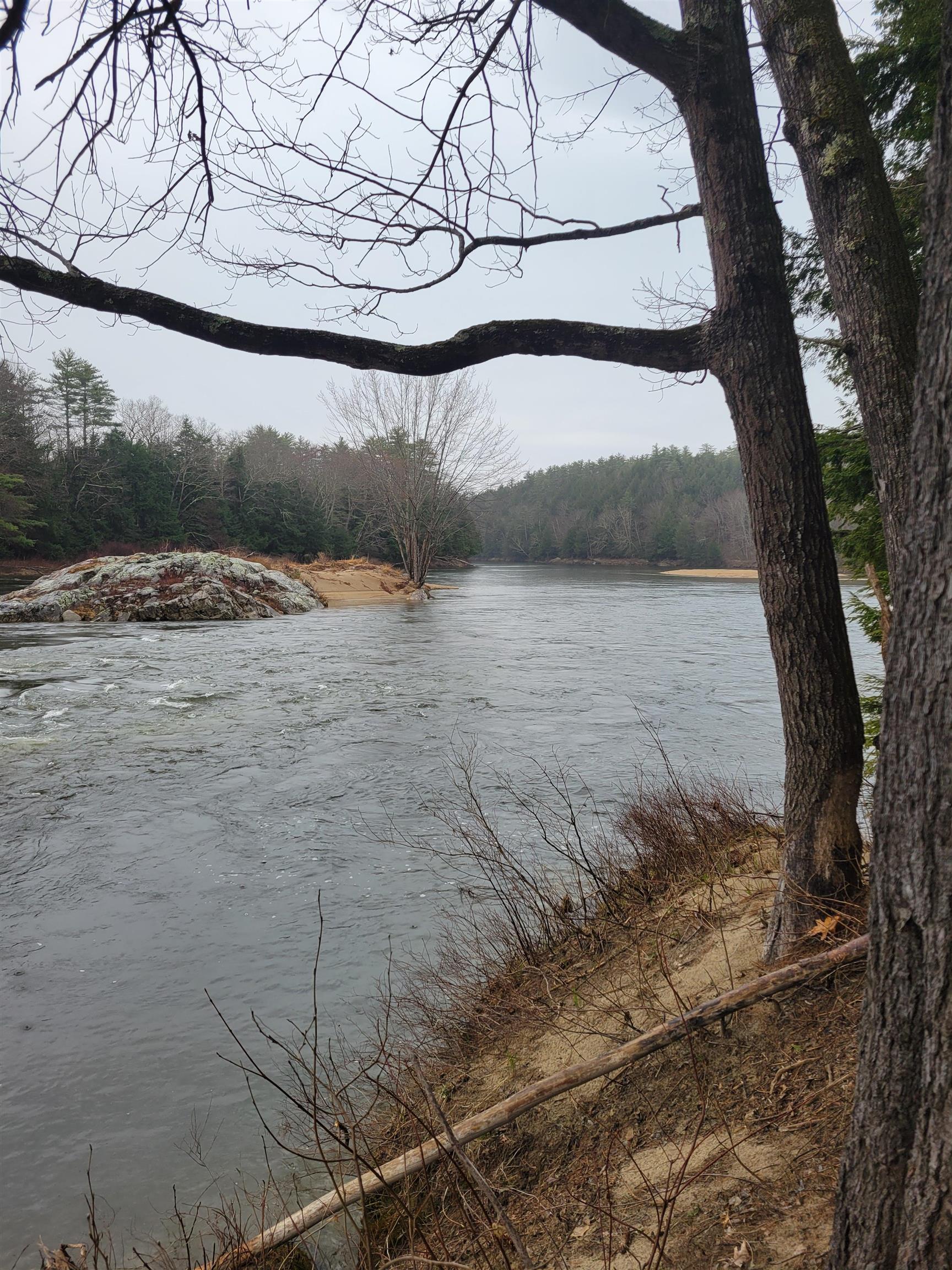 MLS #5026267 image #5