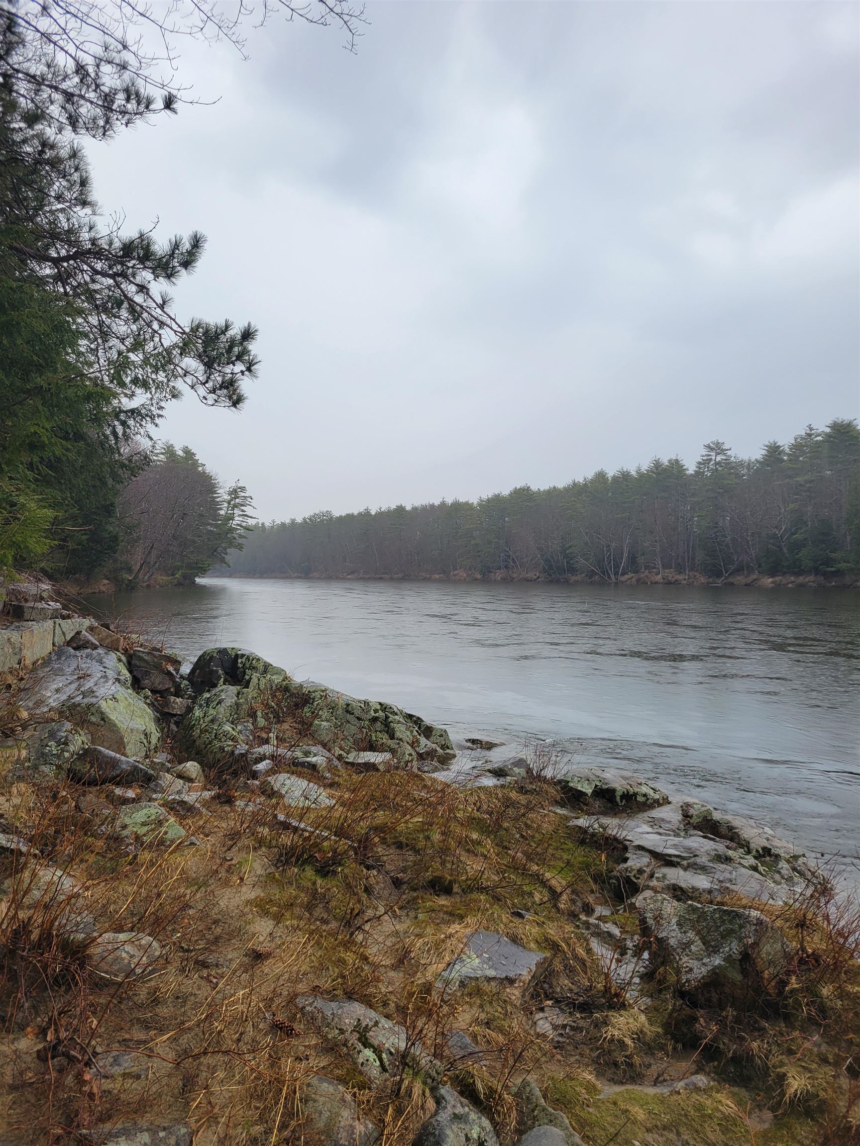 MLS #5026267 image #6