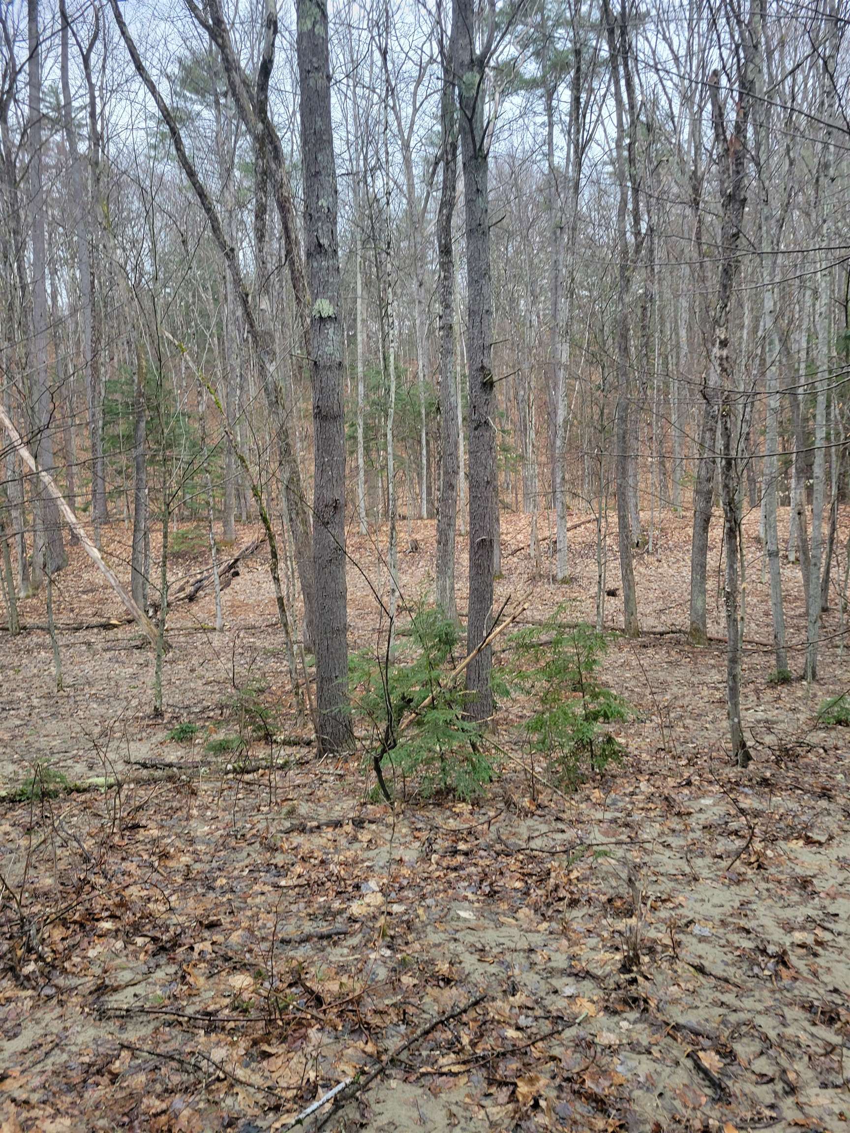 MLS #5026267 image #8