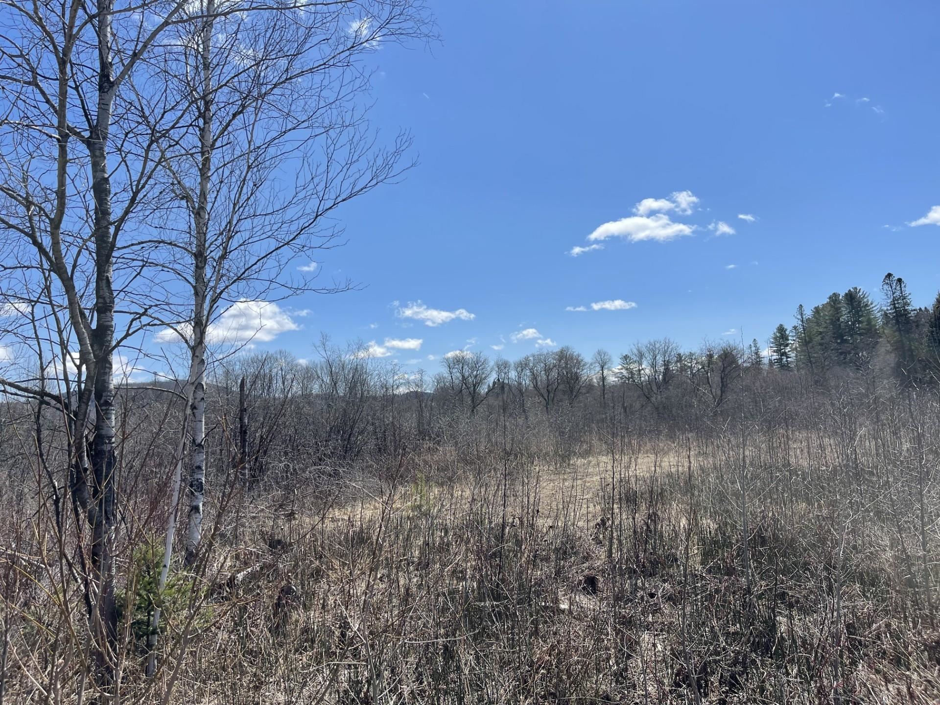 Lyndon VT Land for sale $29,000 | 1 Acres  | Price Per Acre $0 