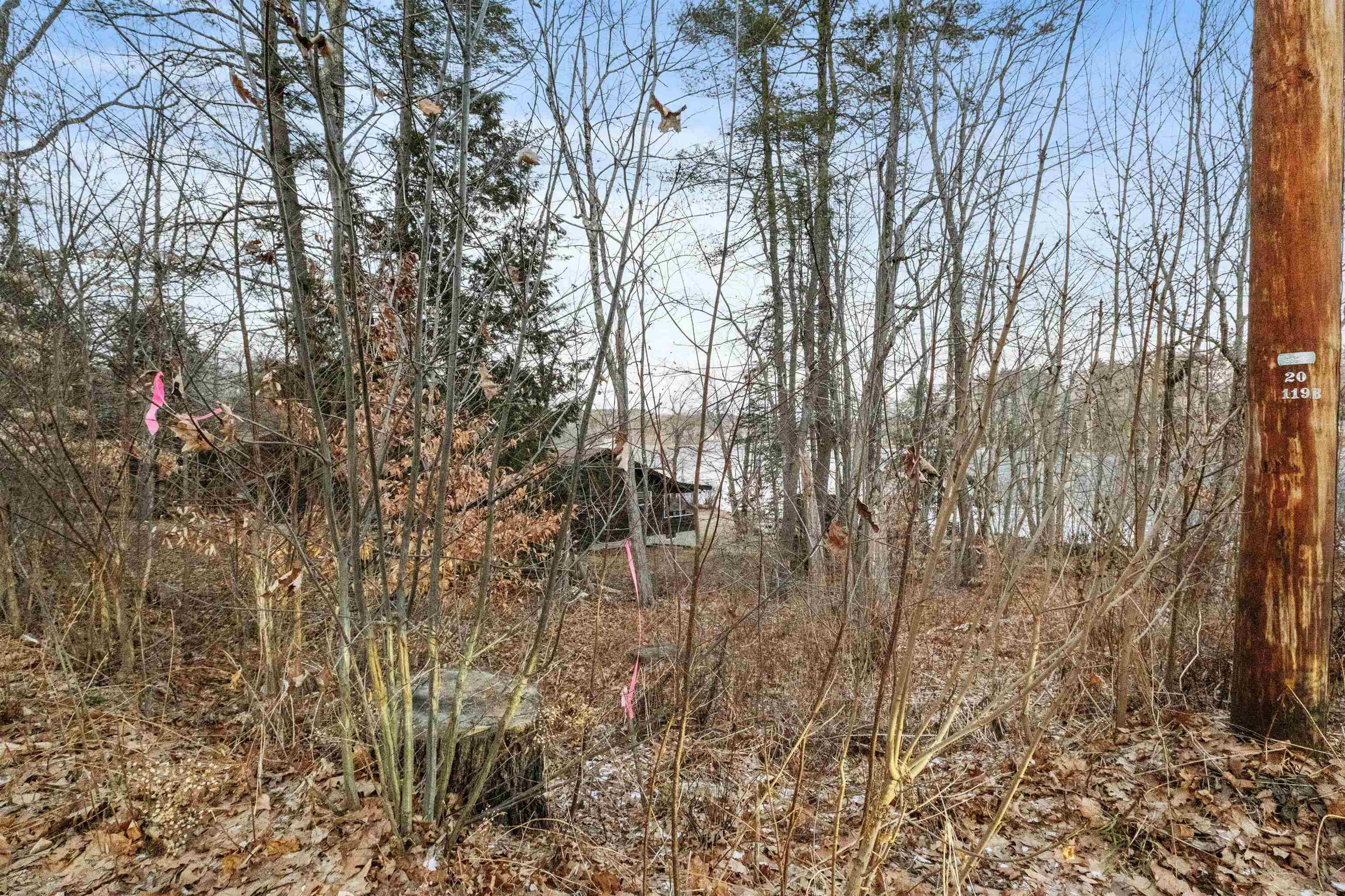 MLS #5026960 image #44