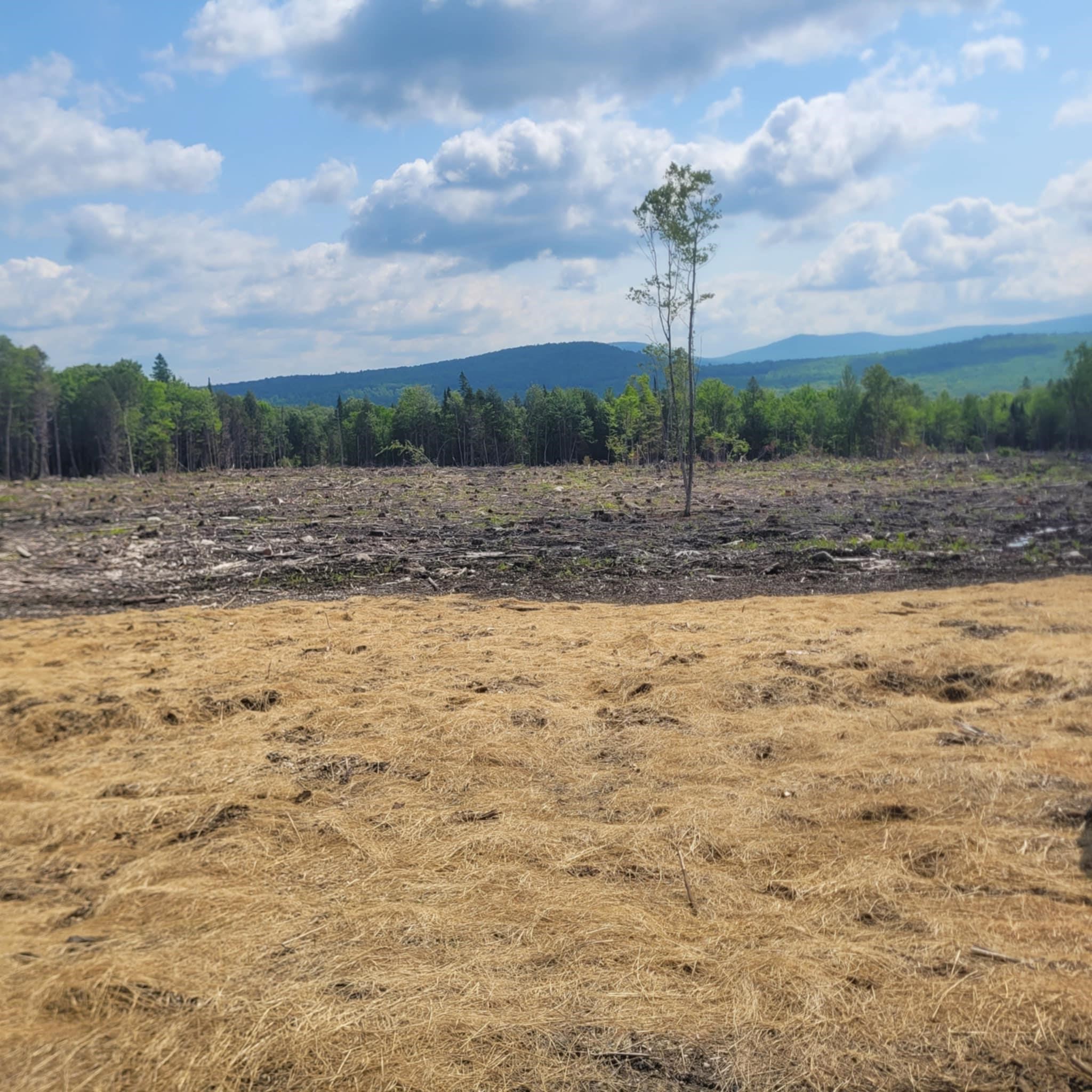 Newark VT Land for sale $55,000 | 10.1 Acres  | Price Per Acre $0 
