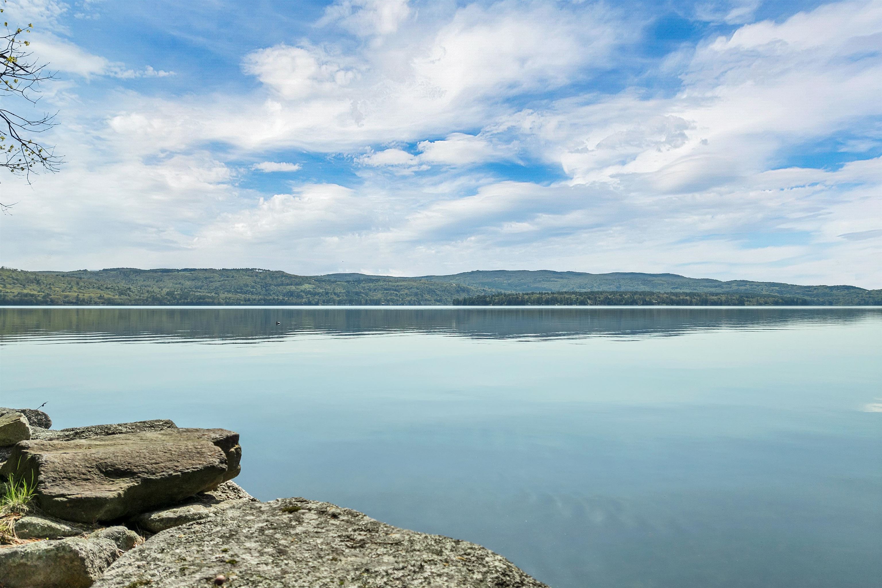 MLS #5027192 image #6