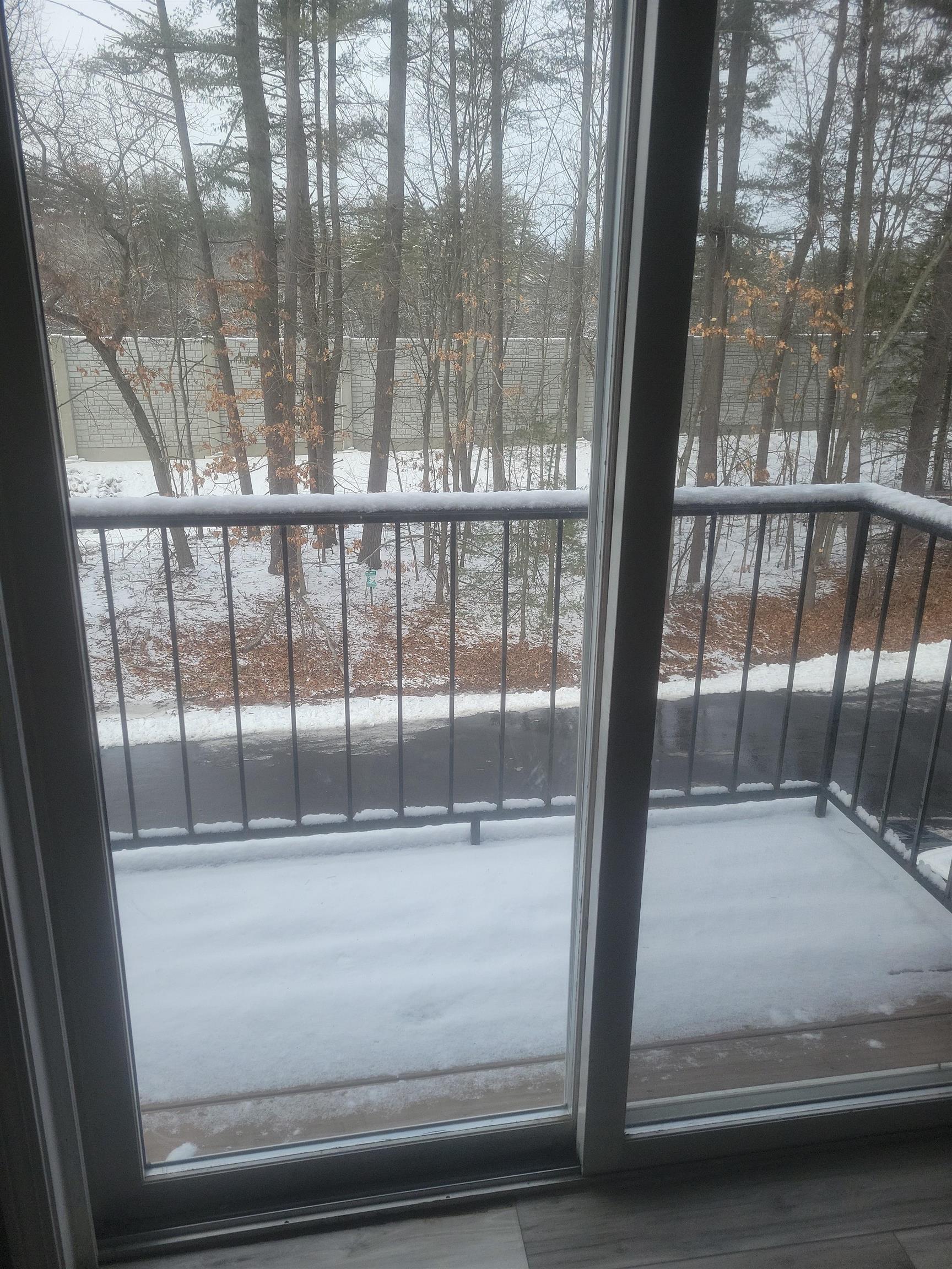 Photo 10 of 17