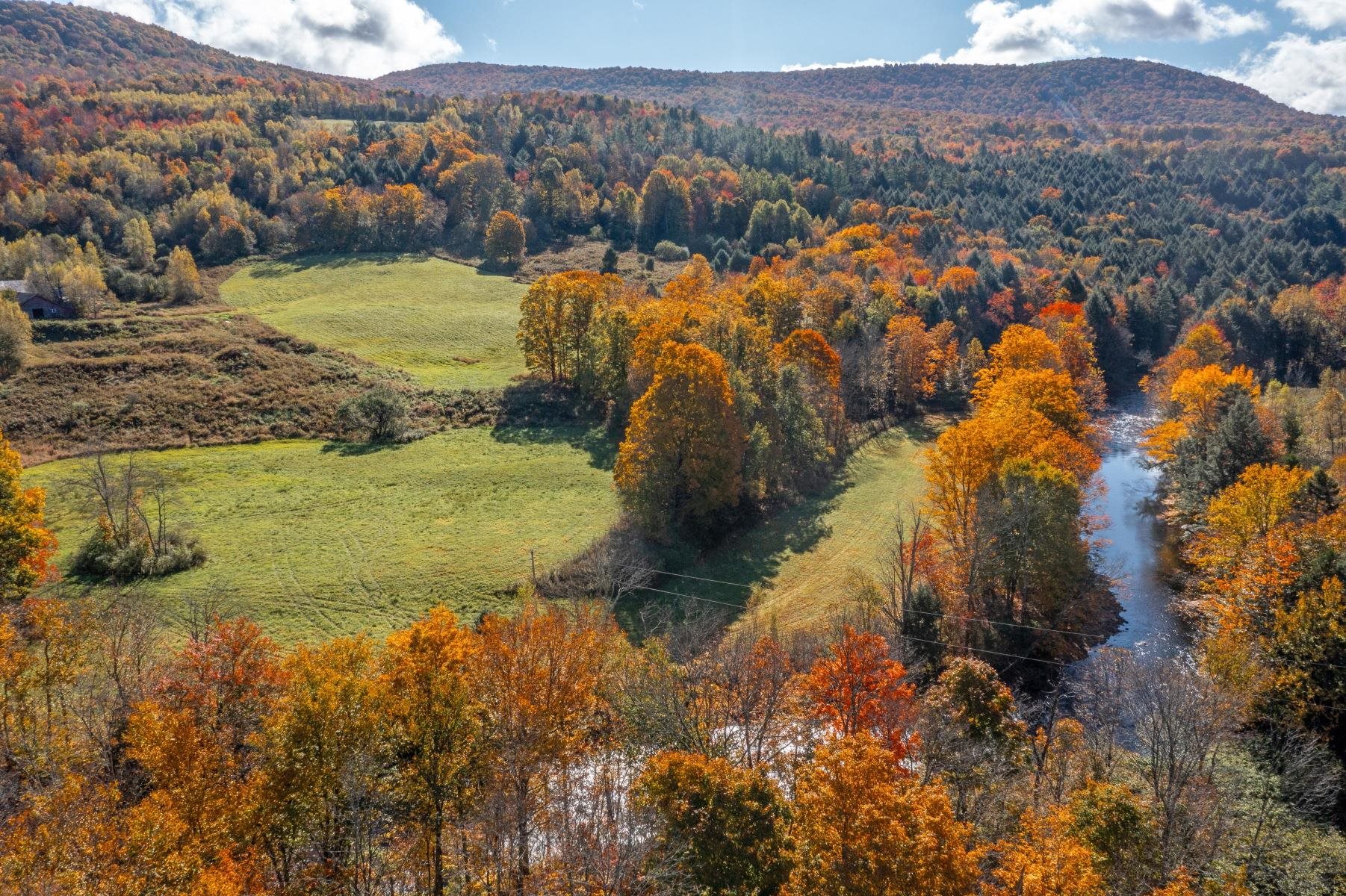 MLS #5028327 image #6