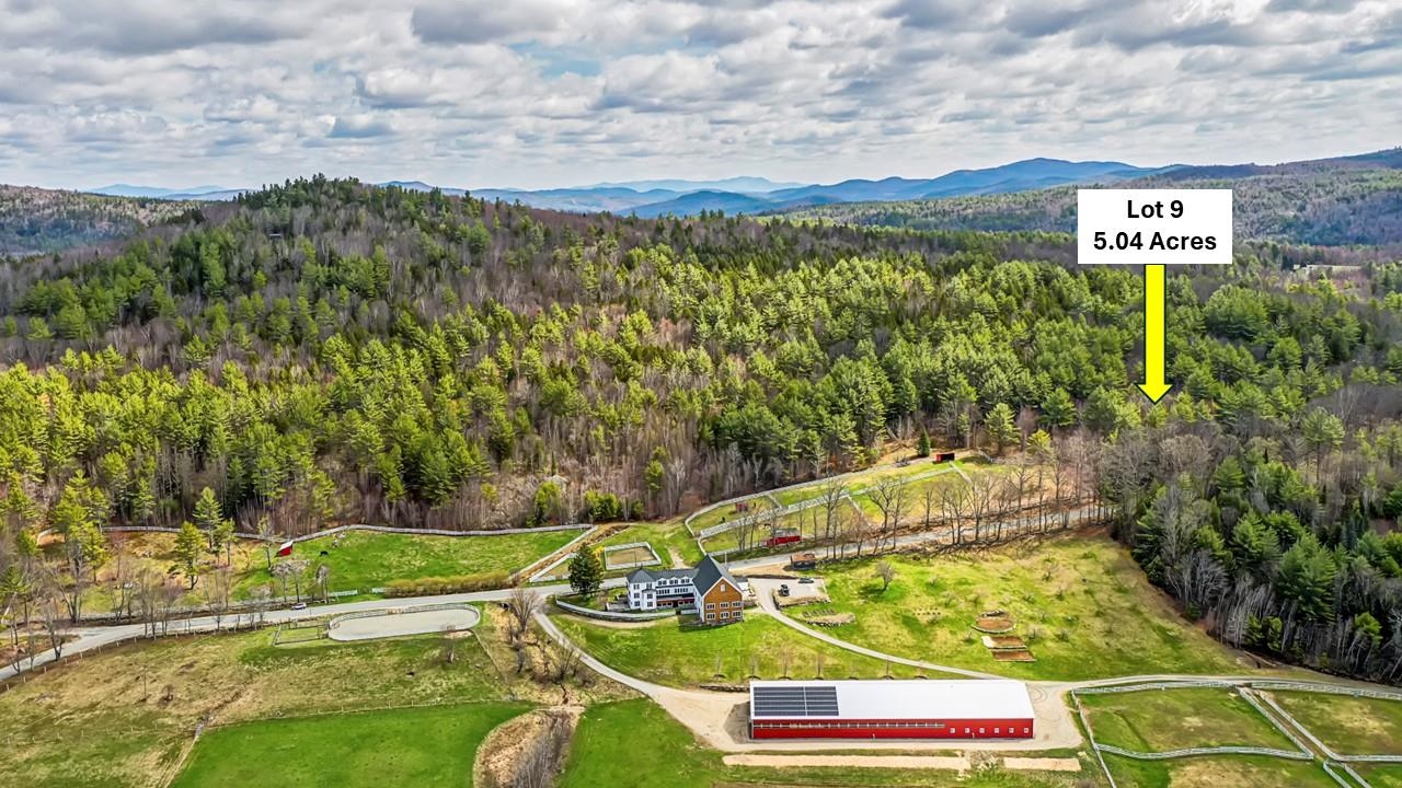 DANBURY NH Land / Acres for sale