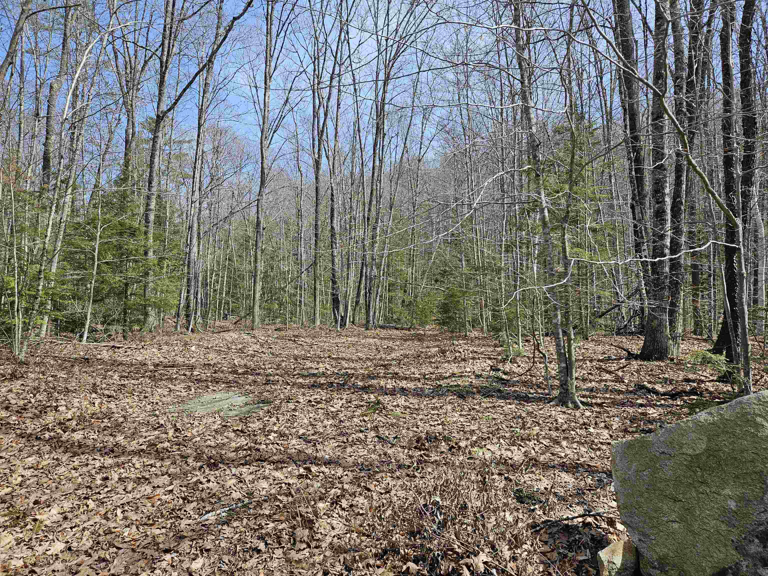 CANAAN NH Land / Acres for sale