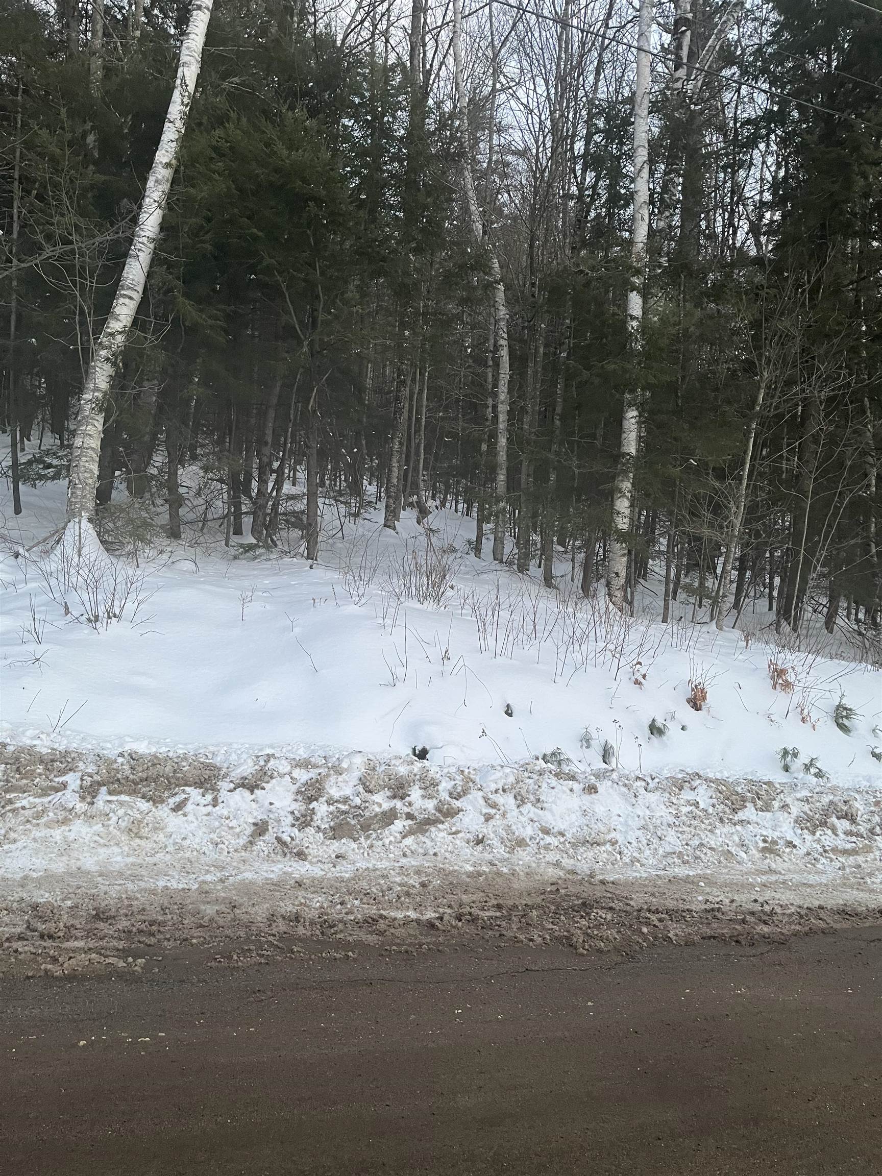 MLS #5029115 img 0