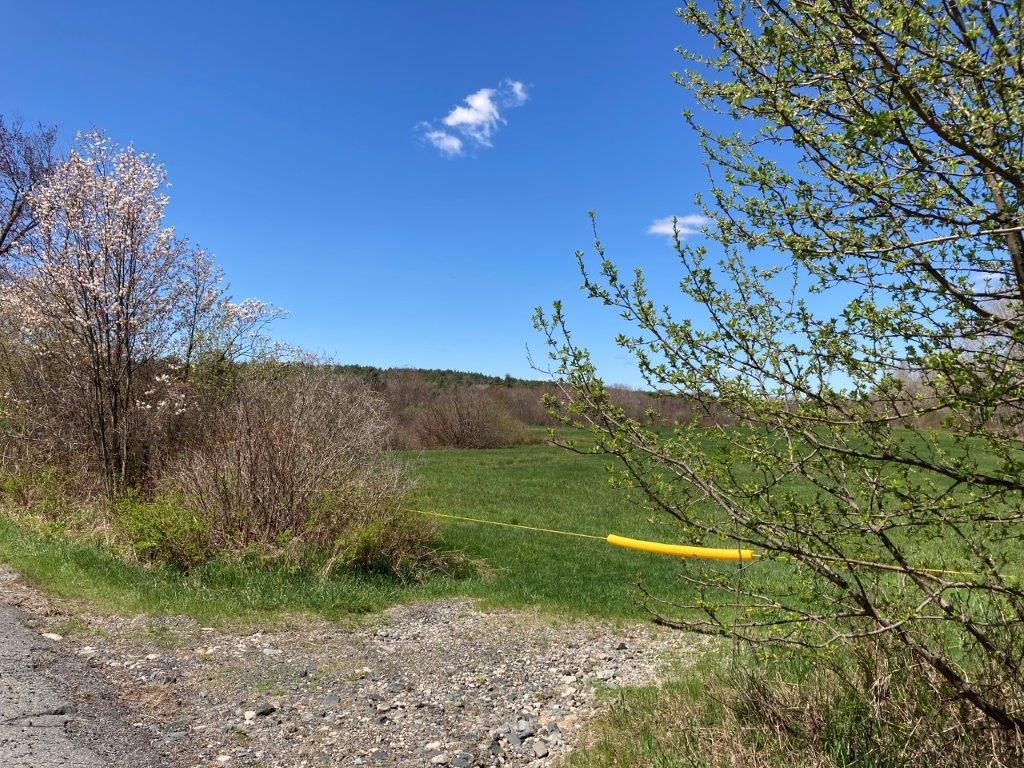 Entrance to Field