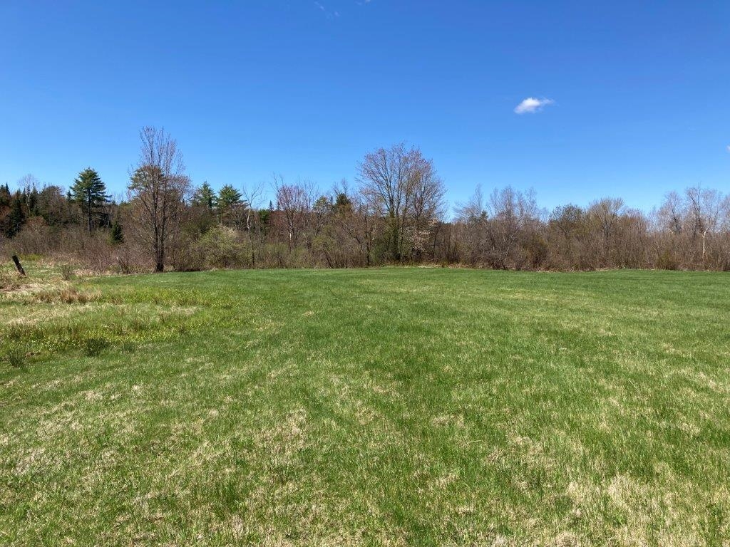 Tree Line Surrounds