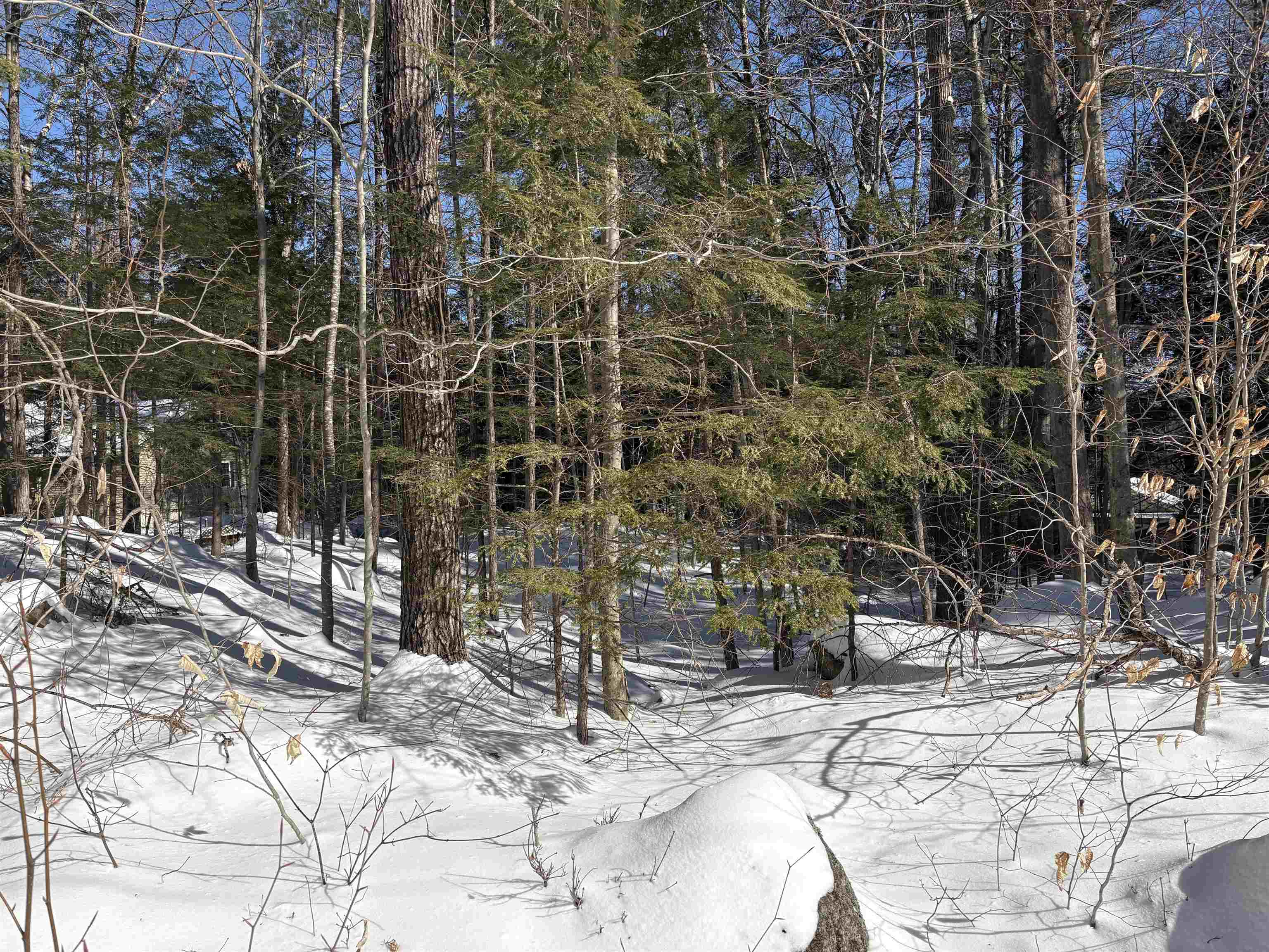 Photo of 10-5-107 Rumford Drive Webster NH 03303