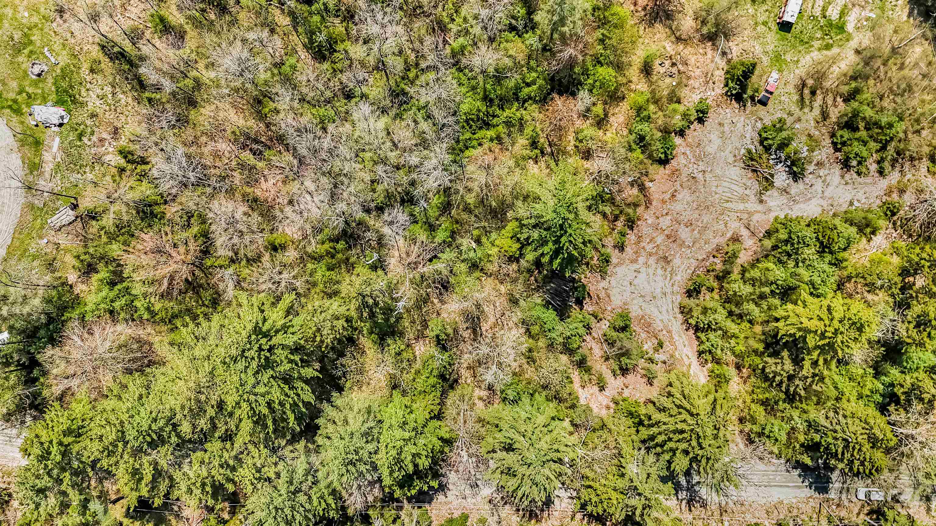 MLS #5029706 image #4