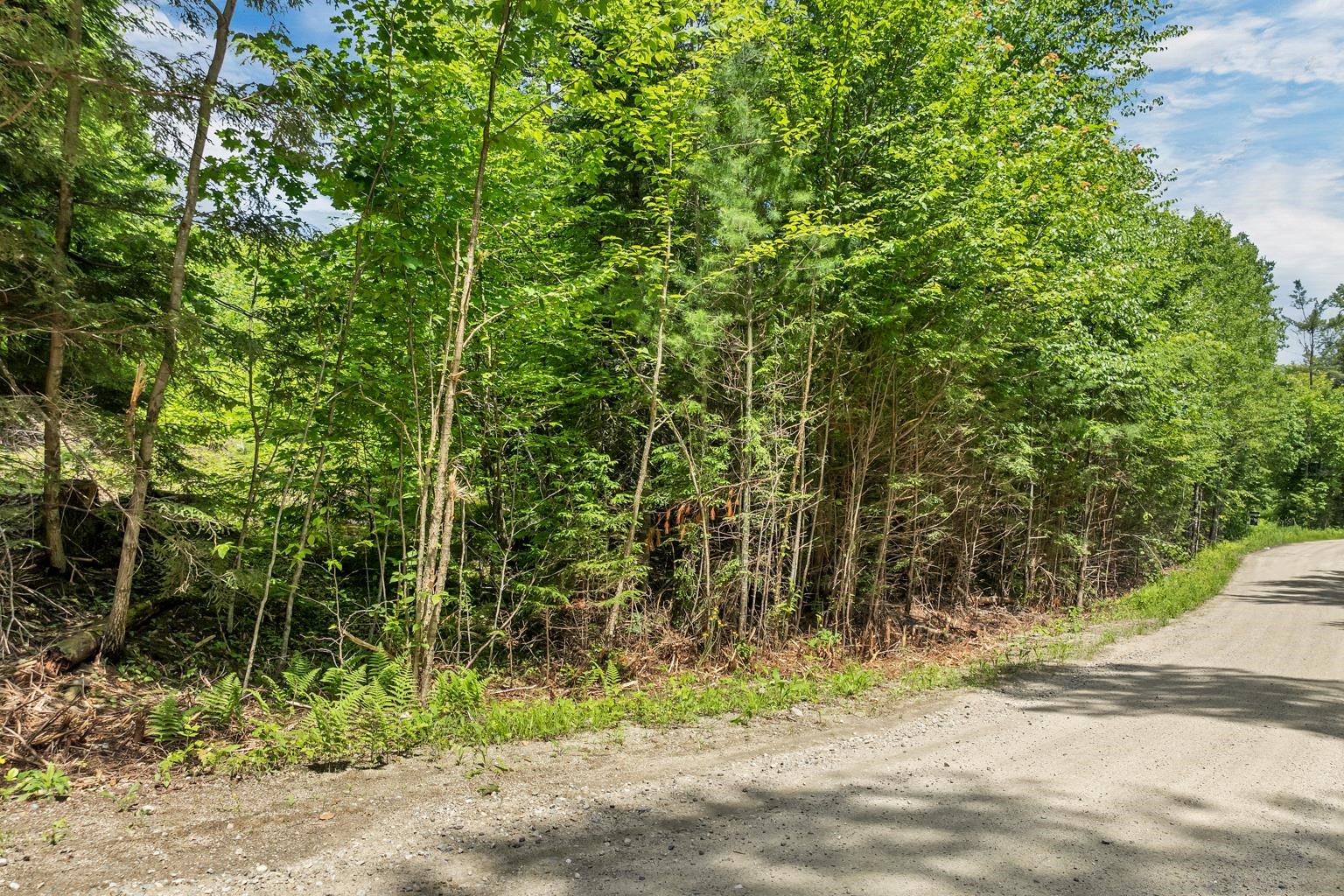 MLS #5030142 image #19