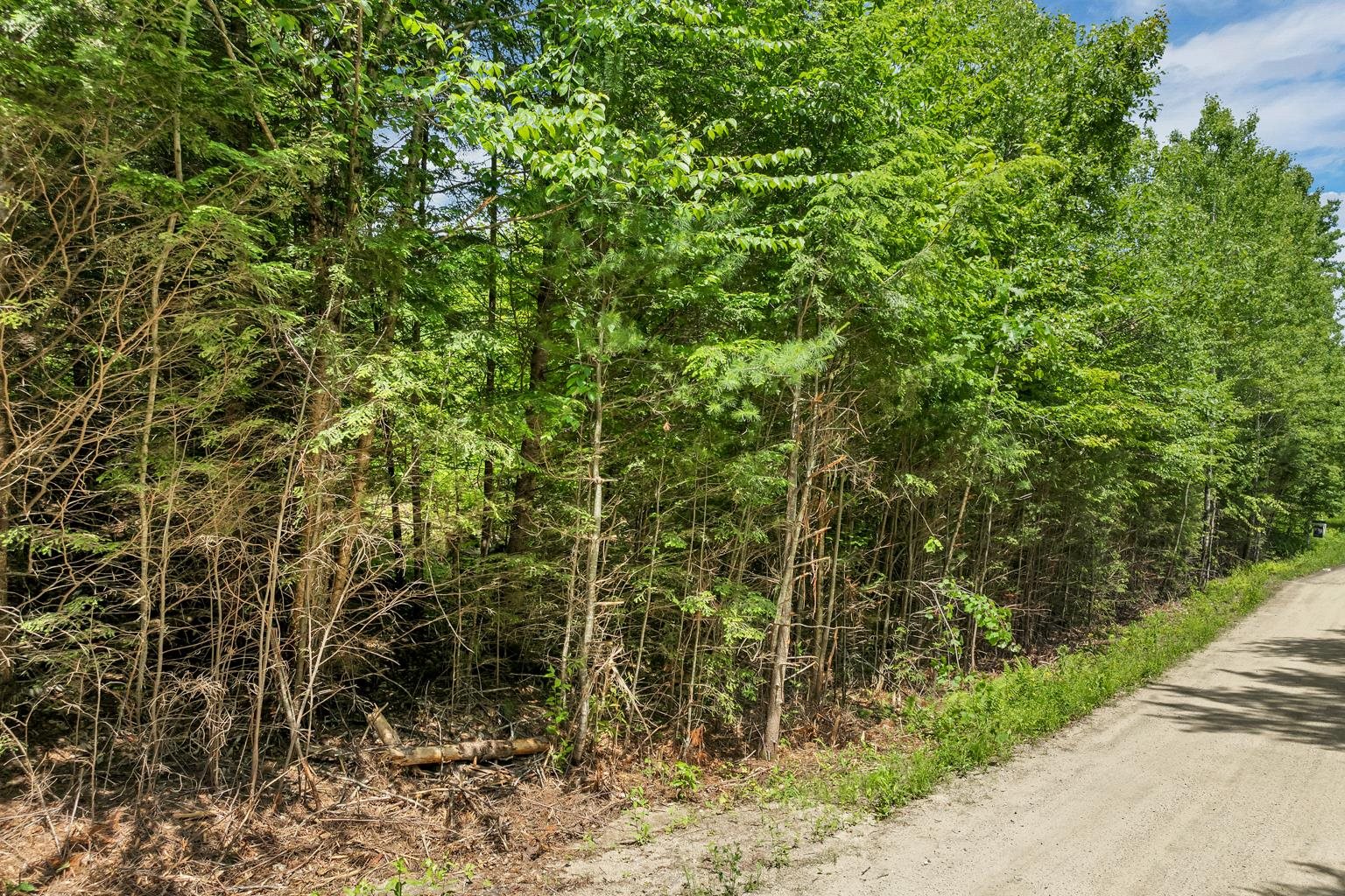 MLS #5030142 image #21