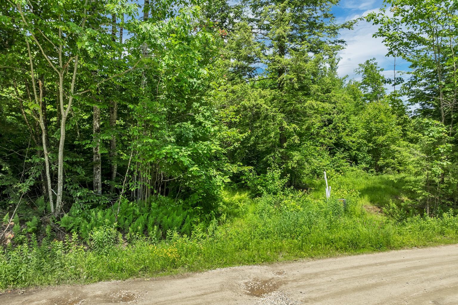 MLS #5030142 image #23