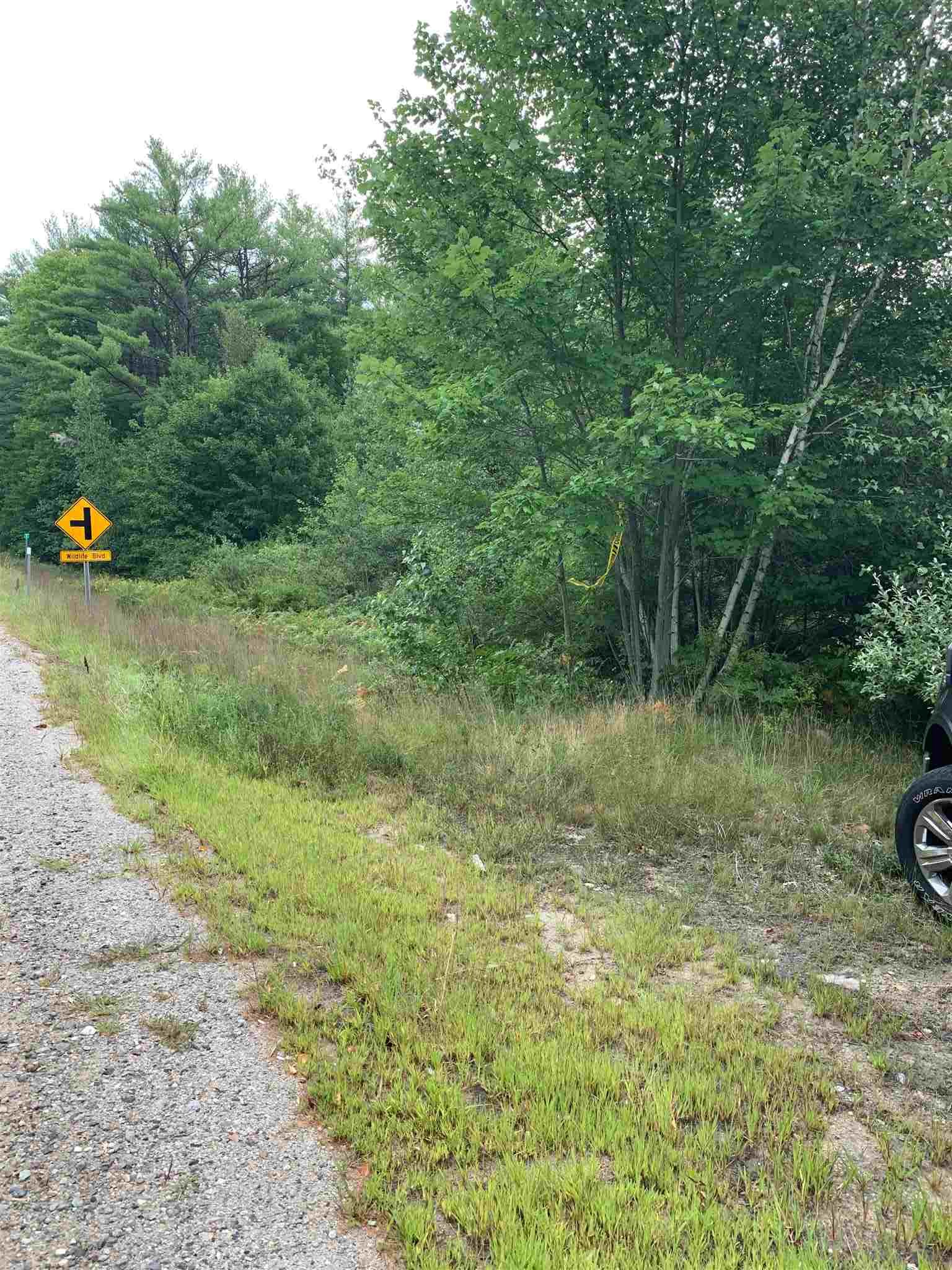 Photo of 0 Laconia Road Belmont NH 03220