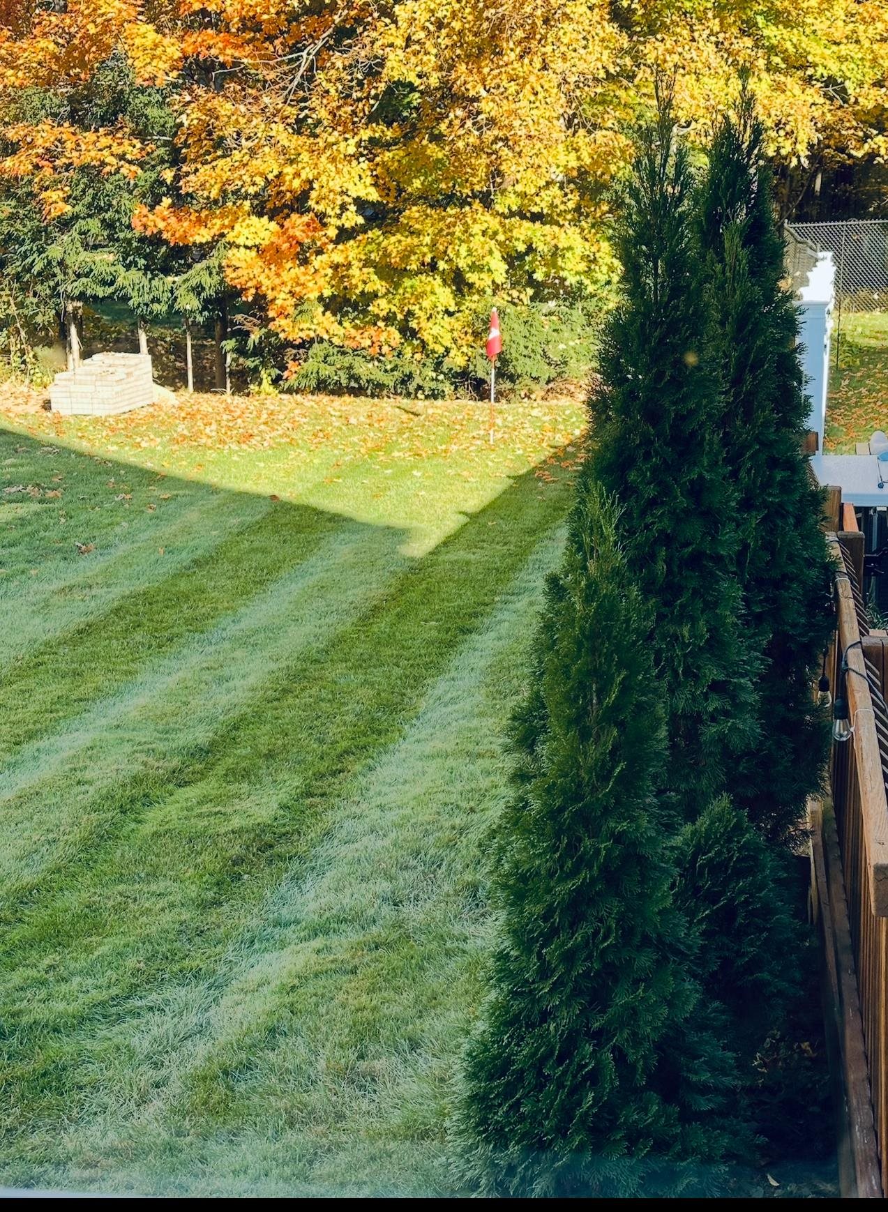 MLS #5030390 image #30