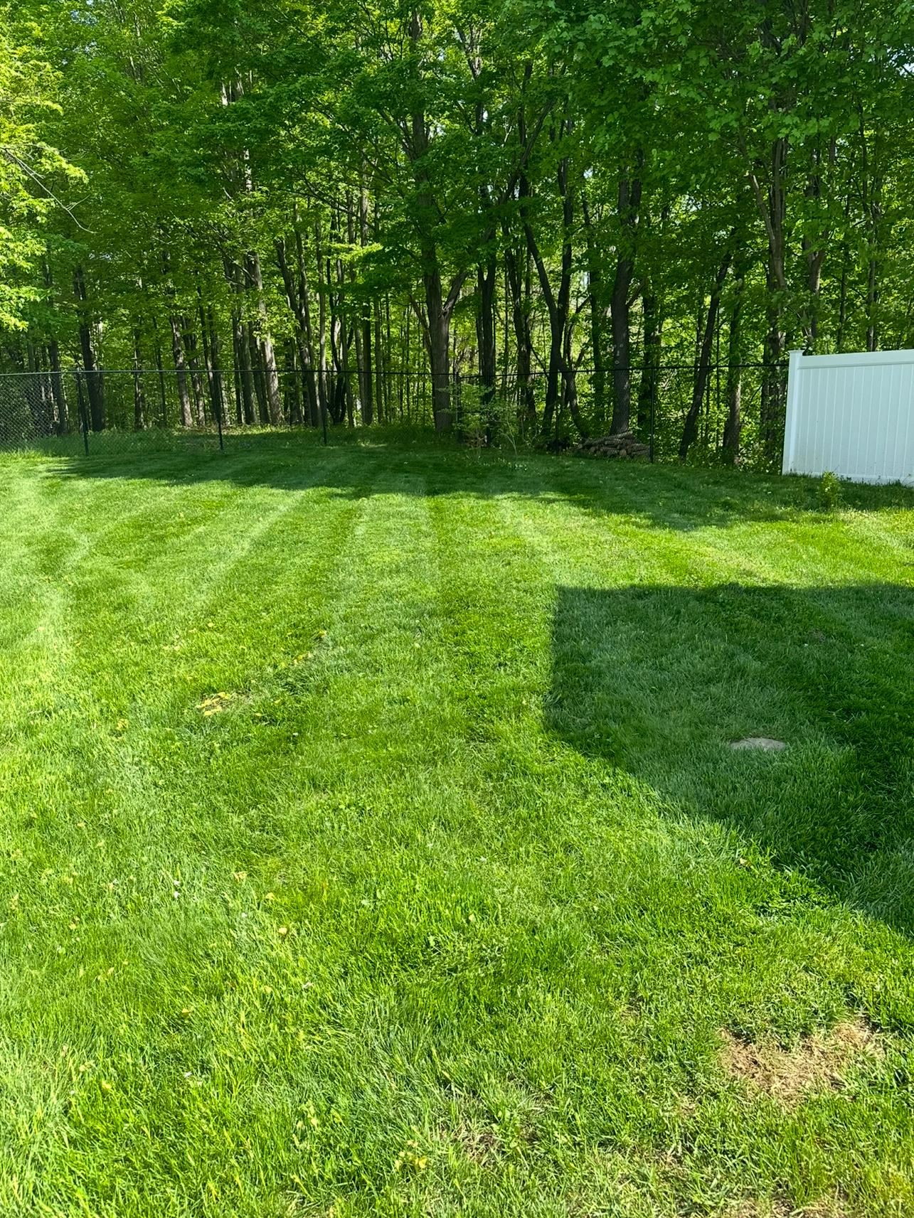 MLS #5030390 image #32