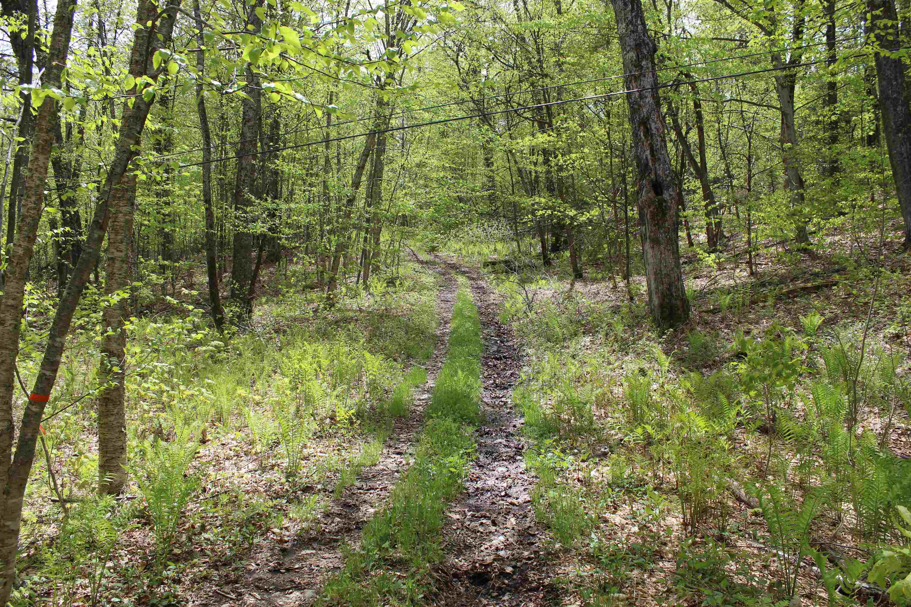Woodstock VT Land for sale $595,000 | 20.2 Acres  | Price Per Acre $0  | Total Lots 2