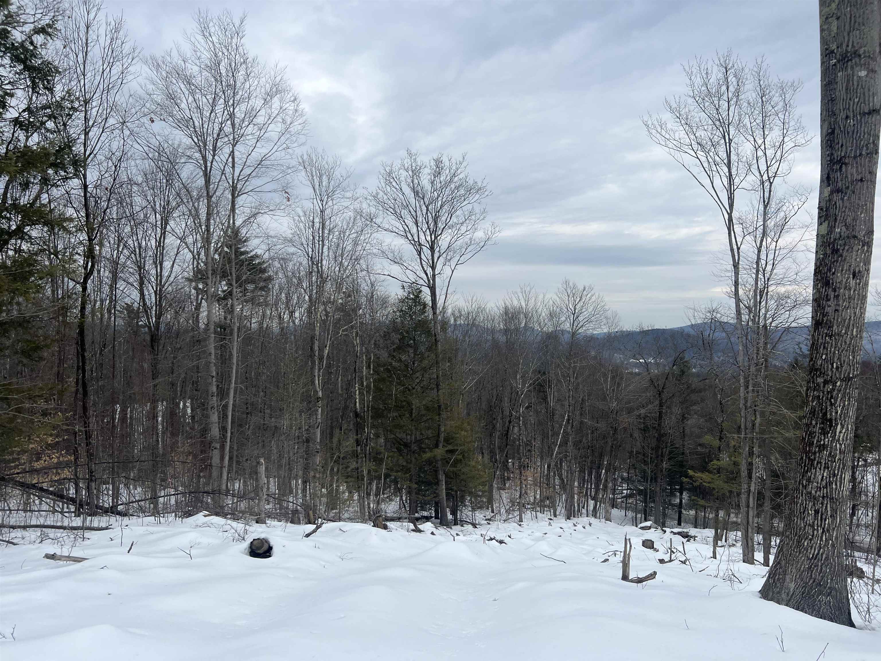 Photo of 00 Burt Hill Road Winchester NH 03470