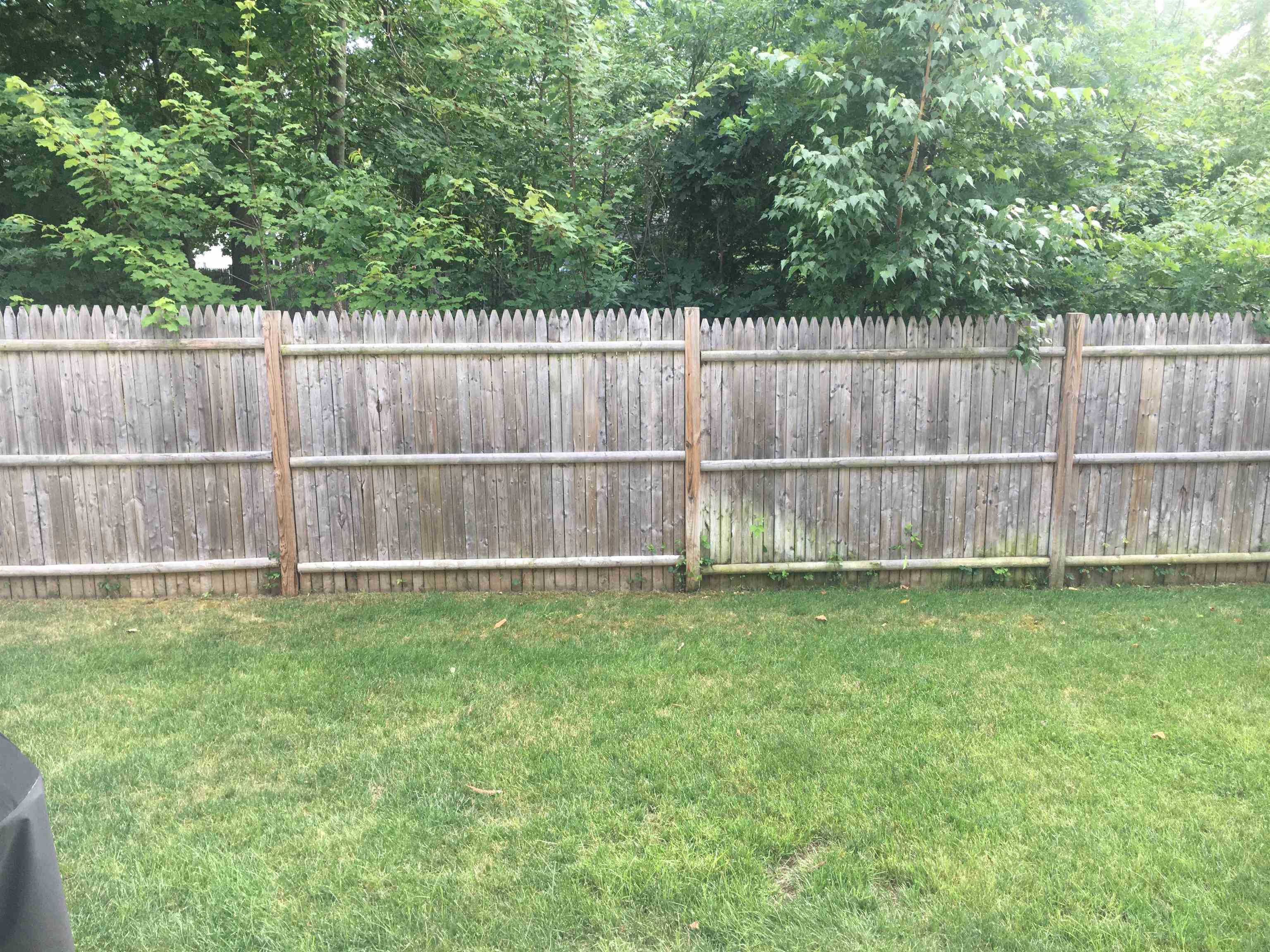 Photo 33 of 36