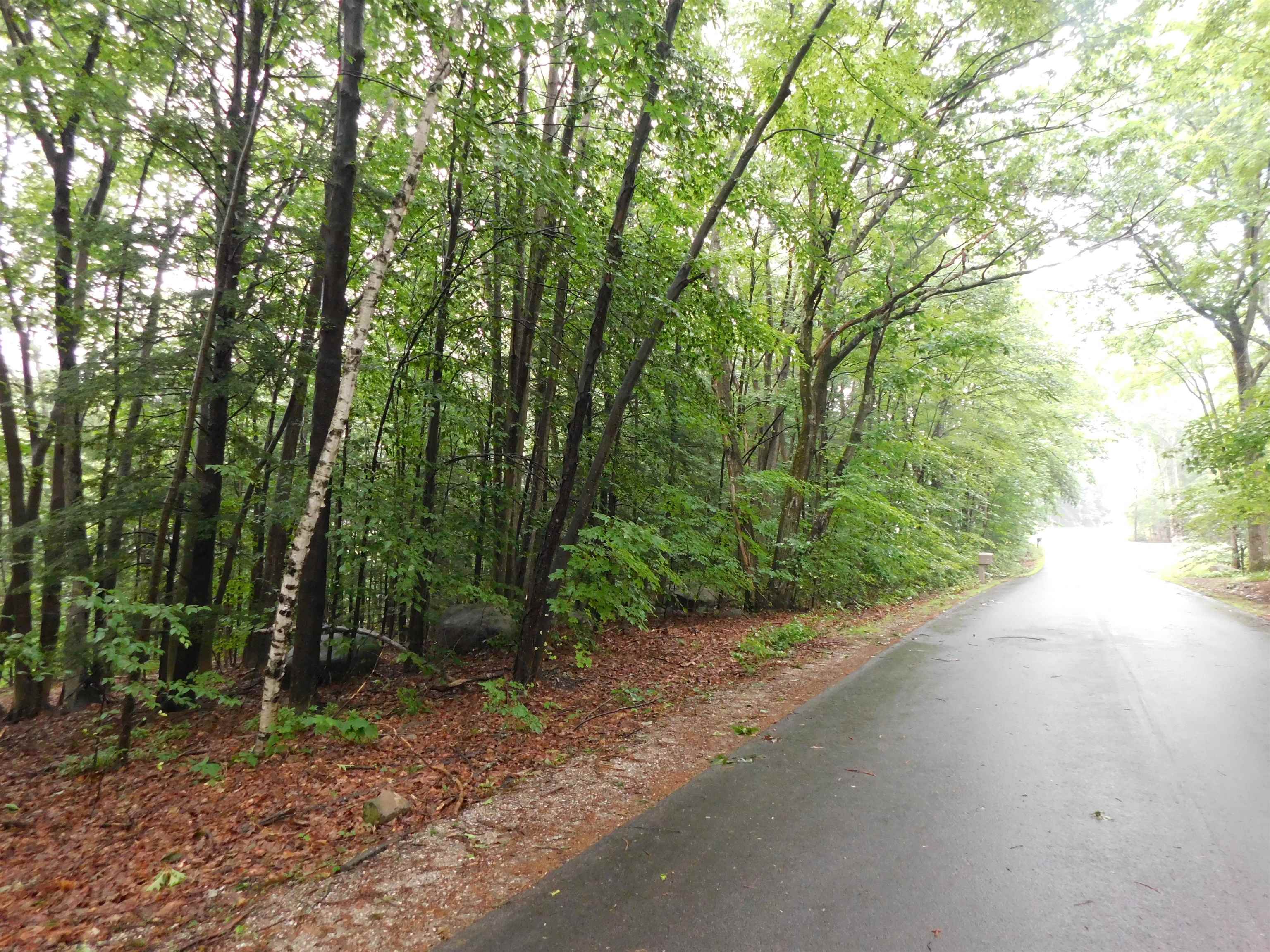 MLS #5032621 image #7