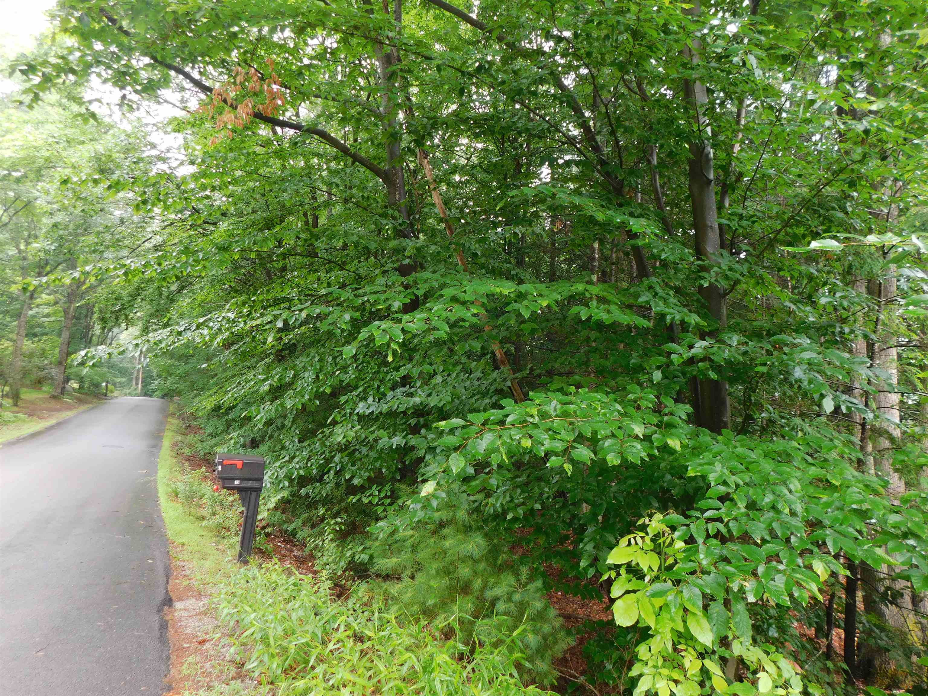 MLS #5032621 image #8