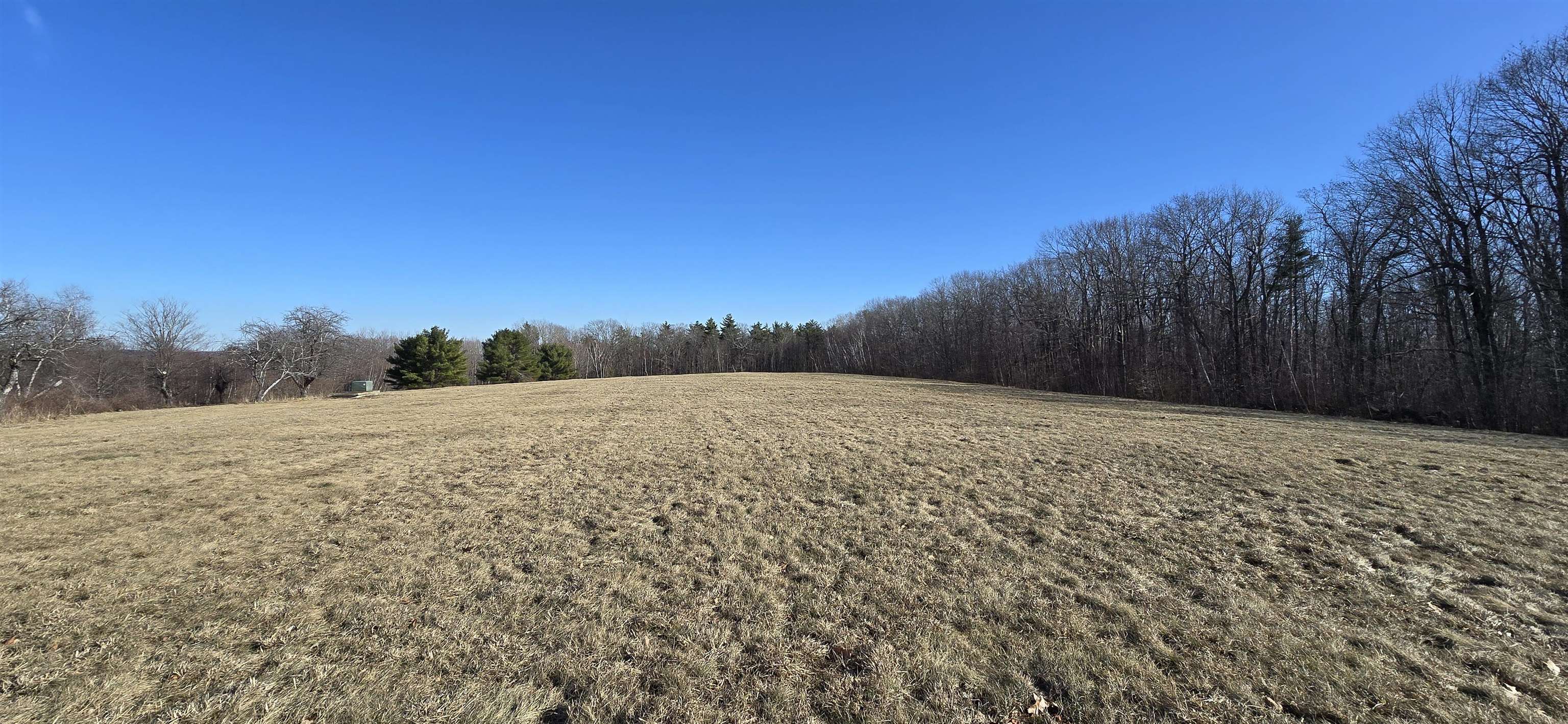 MLS #5032827 image #7